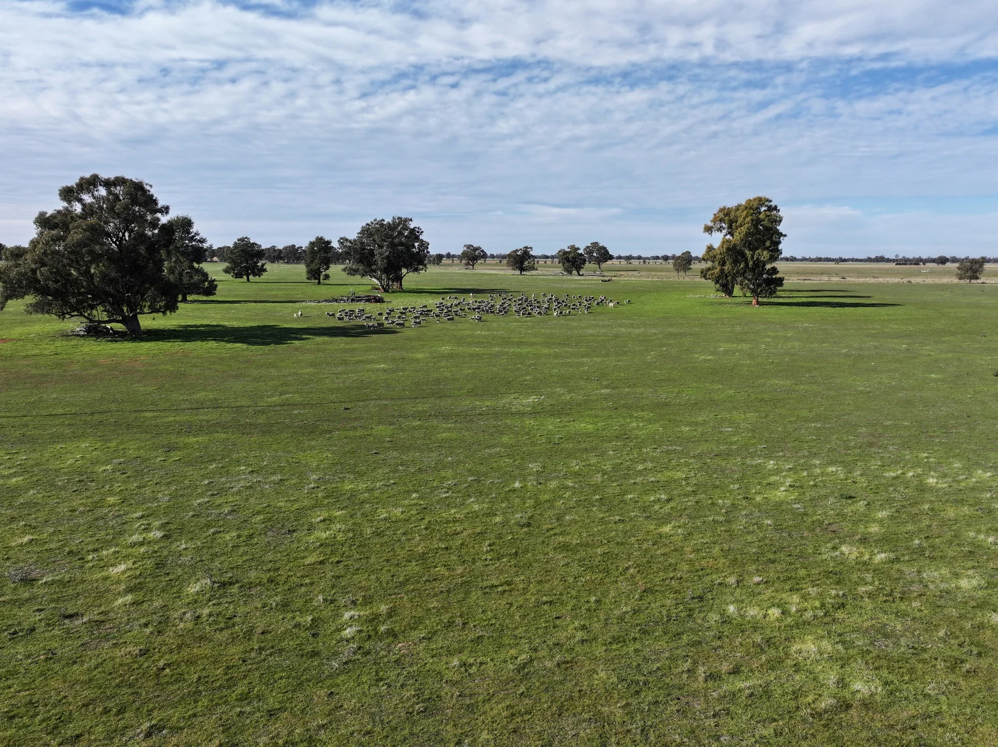 Additional image 19 of Berrigan Oaklands Road, Berrigan NSW 2712