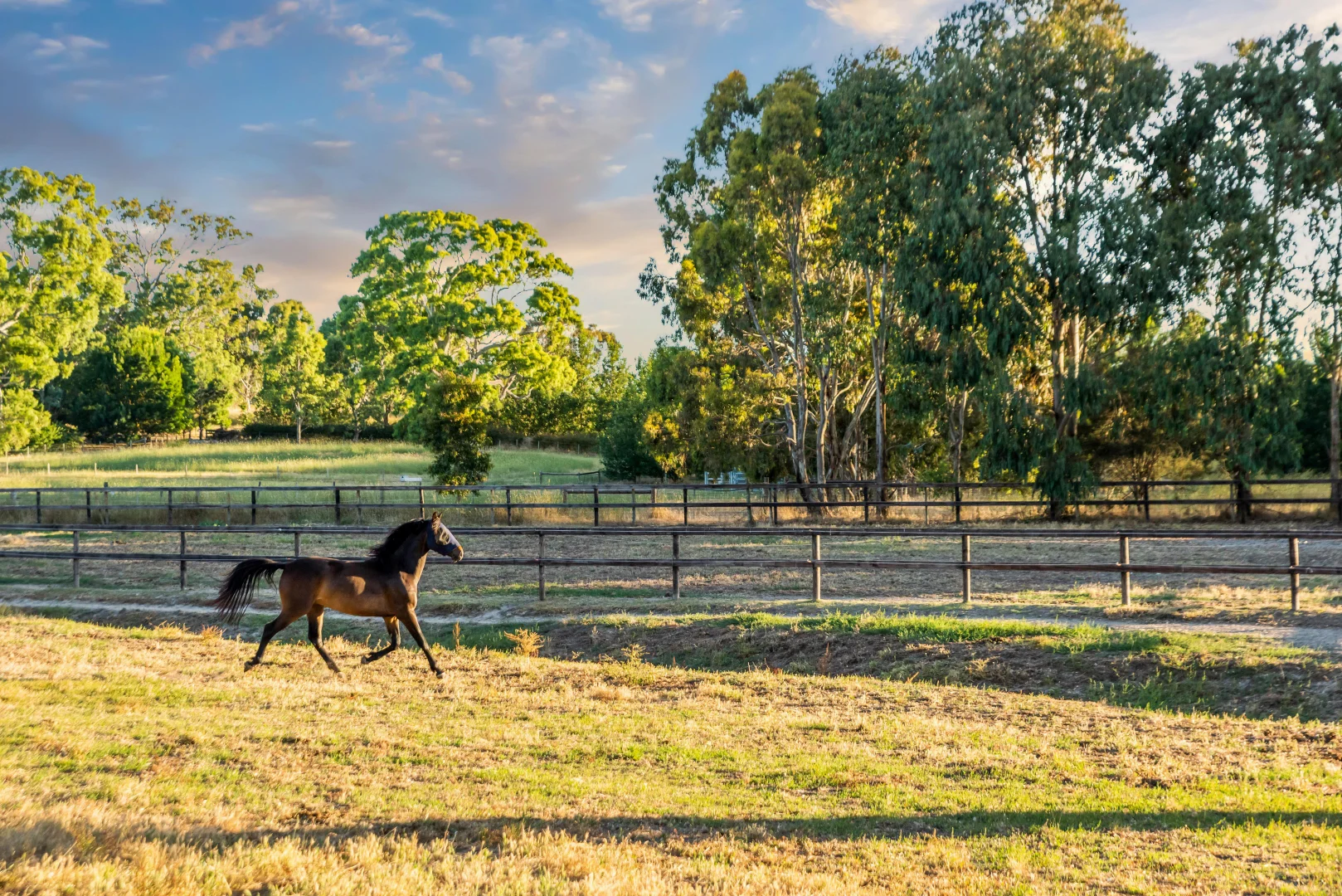 Additional image 71 of 59 McLean Road, Birdwood SA 5234