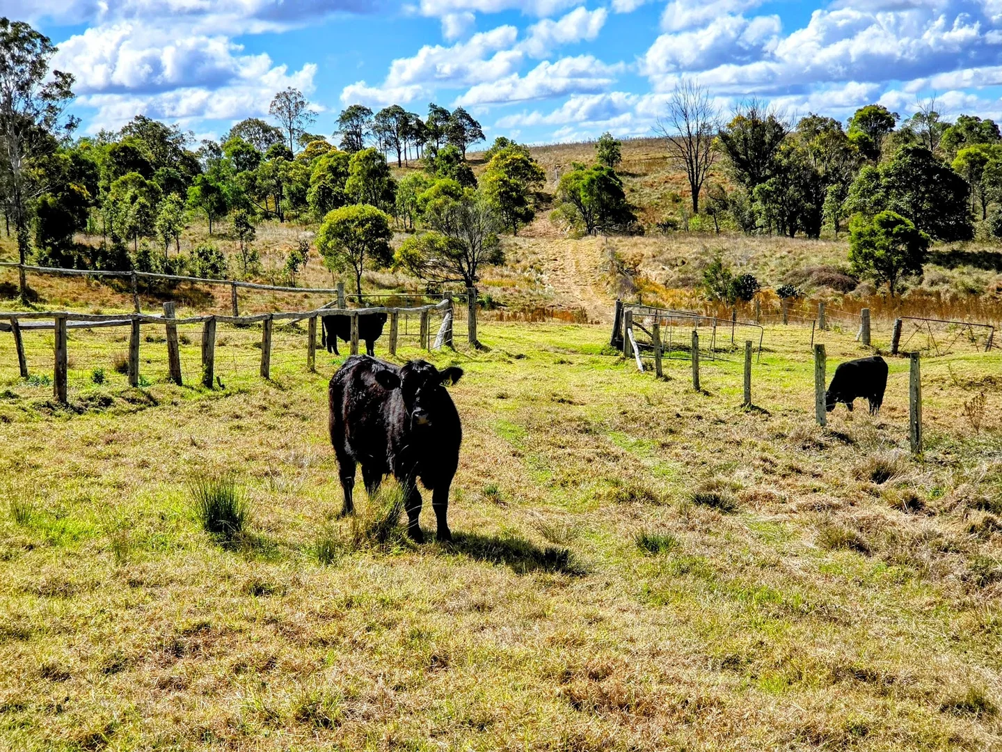 Additional image 32 of Lot 1 and Lot 5 Bald Hills Road, Plainby QLD 4355