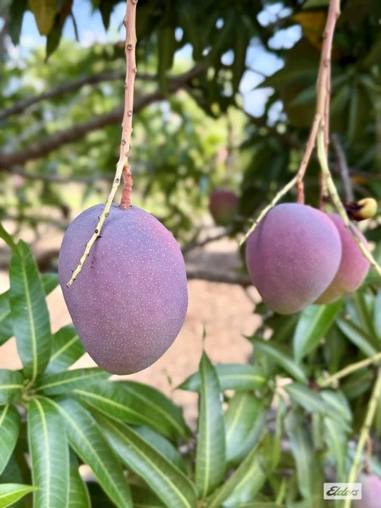 80 & 100 Russ Road, Tumbling Waters NT 0822