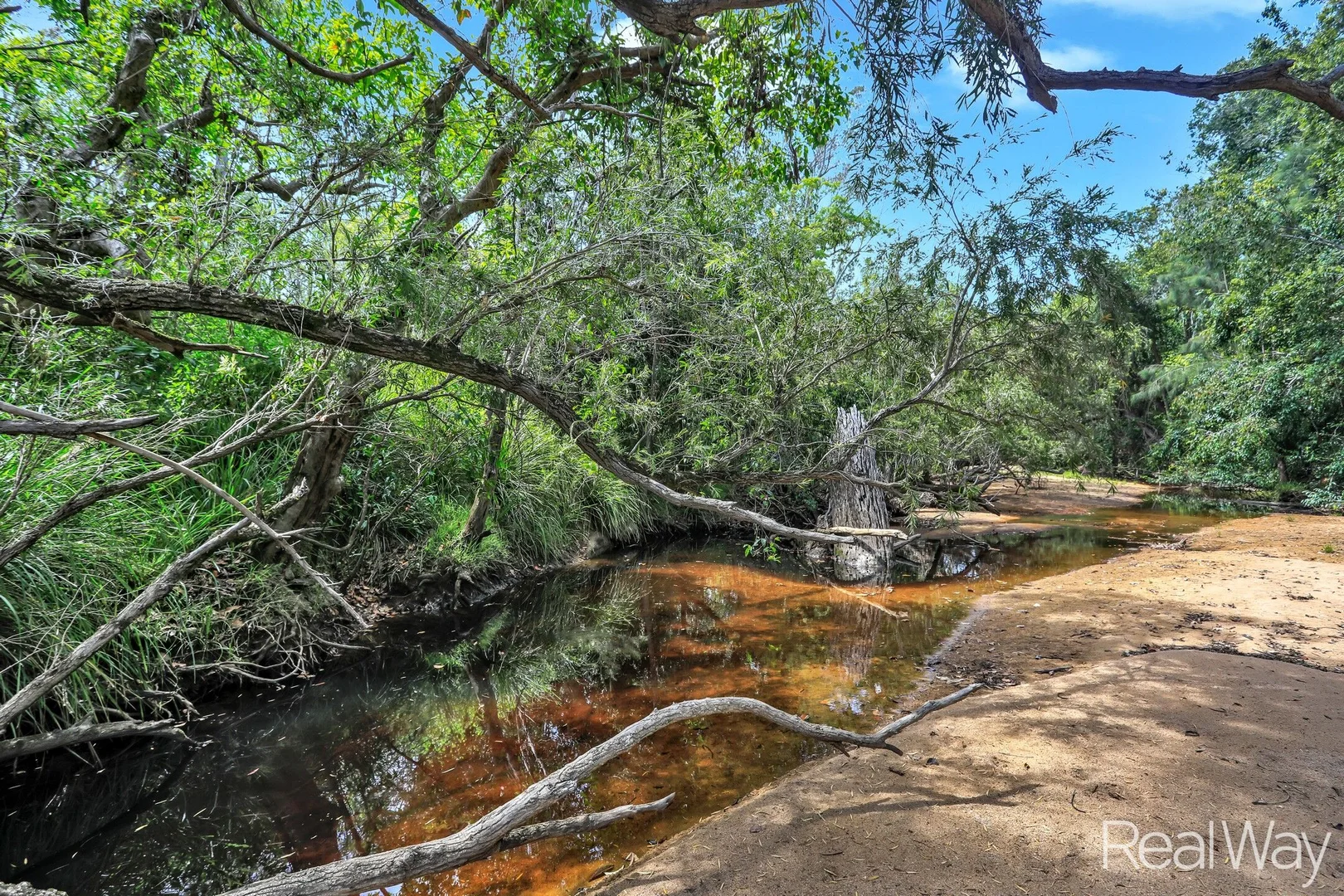 Additional image 5 of 2 Jacksons Road, South Isis QLD 4660
