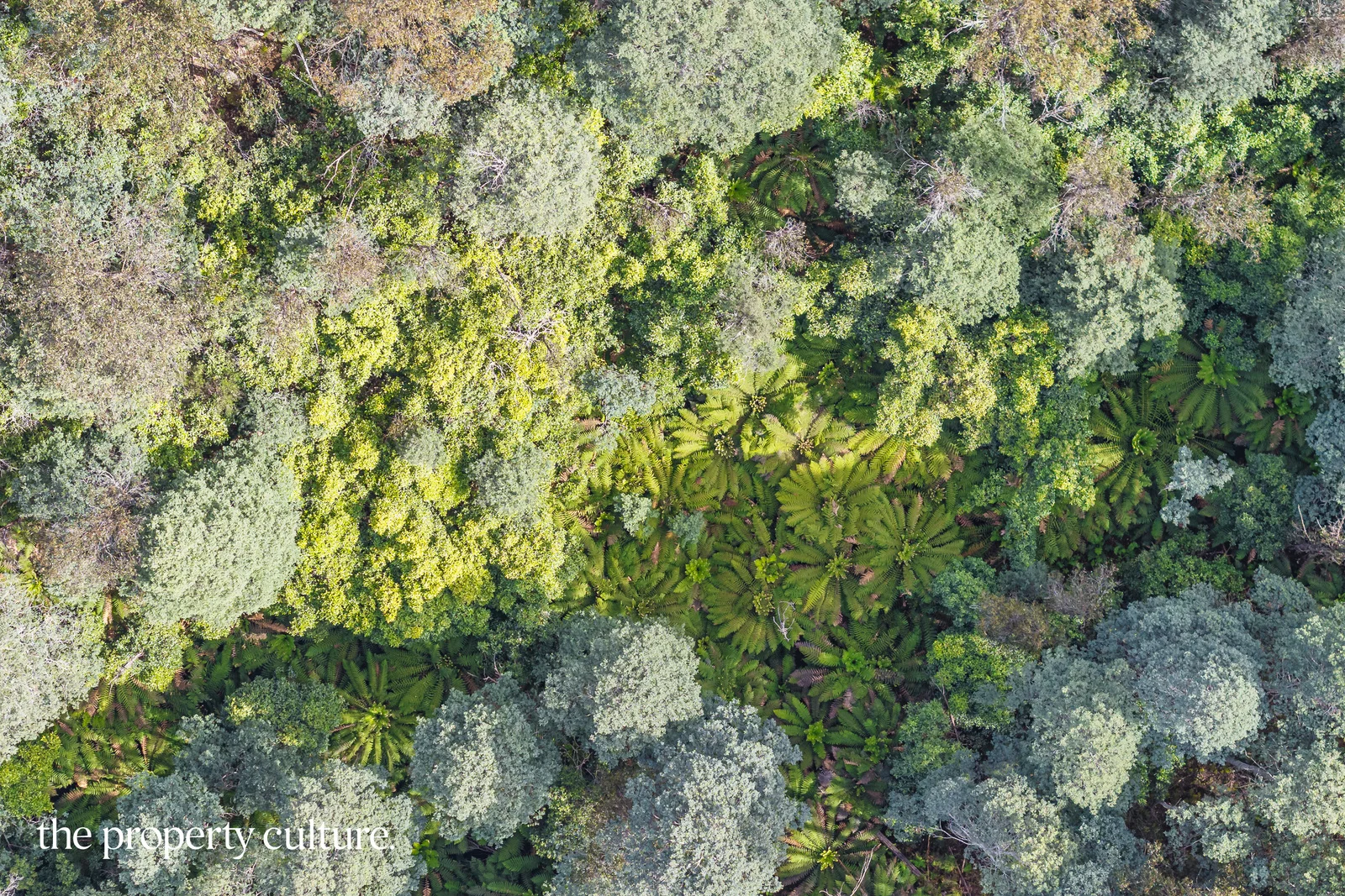 Additional image 9 of 1, 2 & 3 Bakers Creek Rd, Lucaston TAS 7109