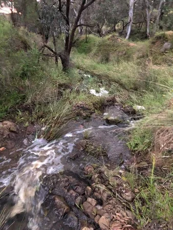 Additional image 21 of 560 Collector Road, Gunning NSW 2581