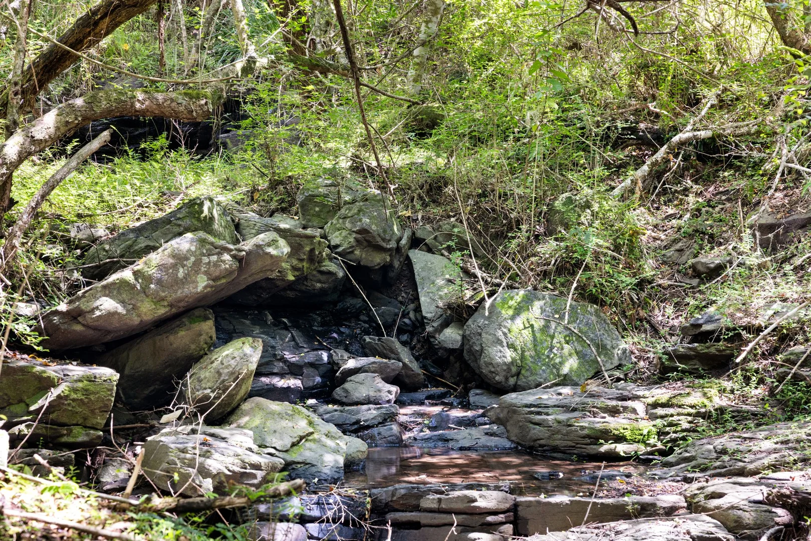 Additional image 30 of 154 Sawpit Creek Road, Findon Creek NSW 2474