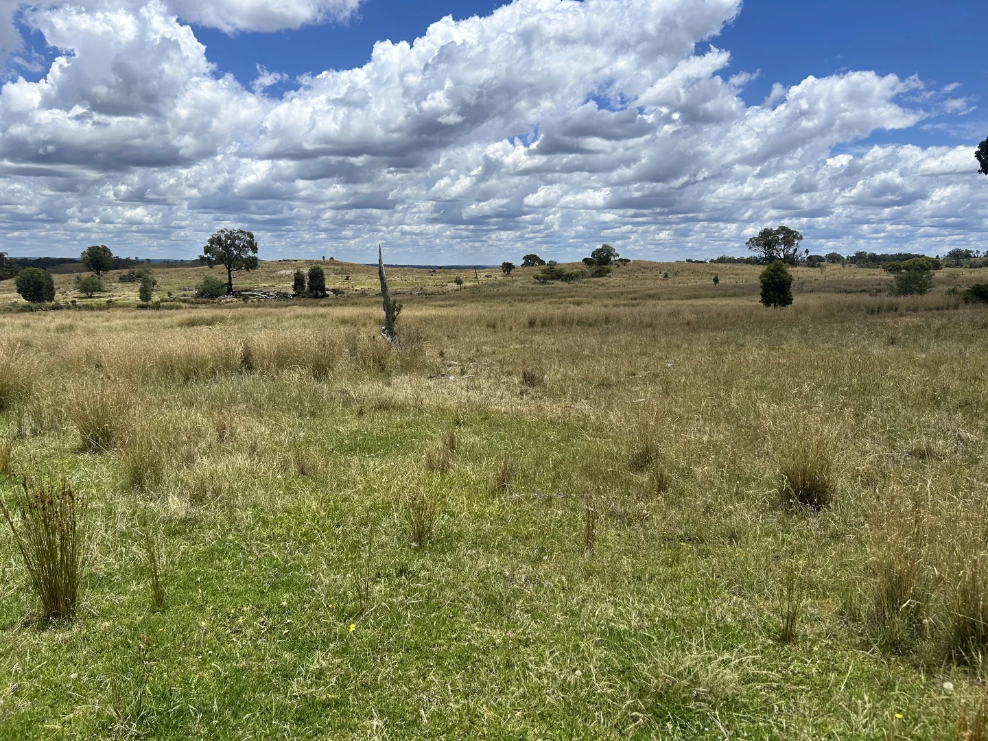 Additional image 3 of 60 Windorah Road, Inverell NSW 2360