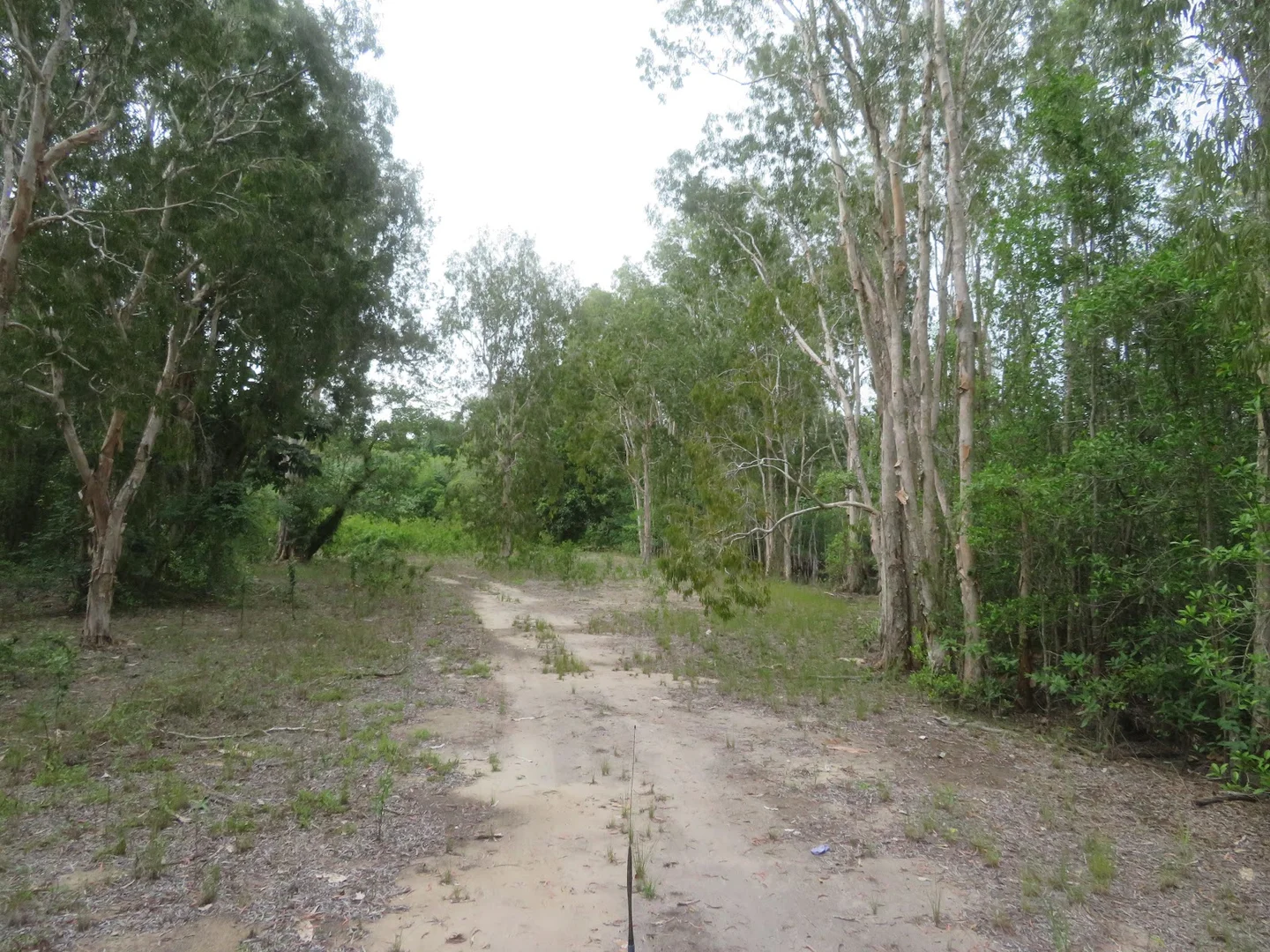 Additional image 25 of 364 Coquette Point Road, Coquette Point QLD 4860