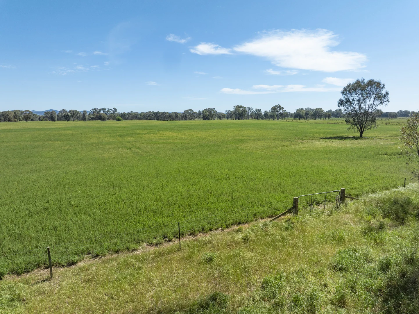 Additional image 22 of 827 Benalla-Tatong Rd, Benalla VIC 3672