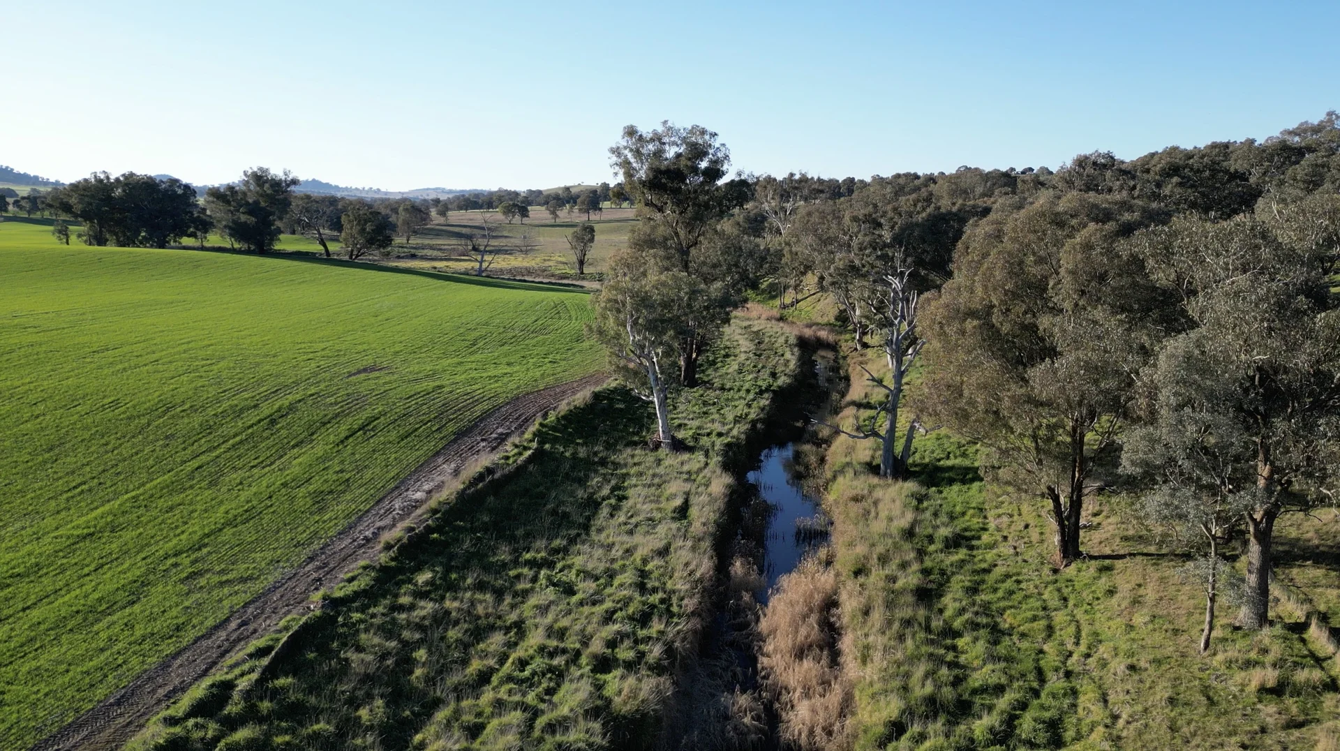 Additional image 7 of Lots 1-14 Willowvale Road, Cowra NSW 2794