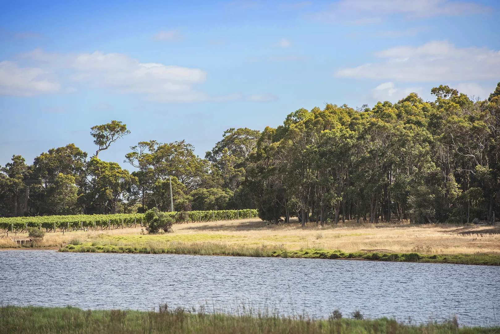 Additional image 20 of 243 Miamup Road, Cowaramup WA 6284