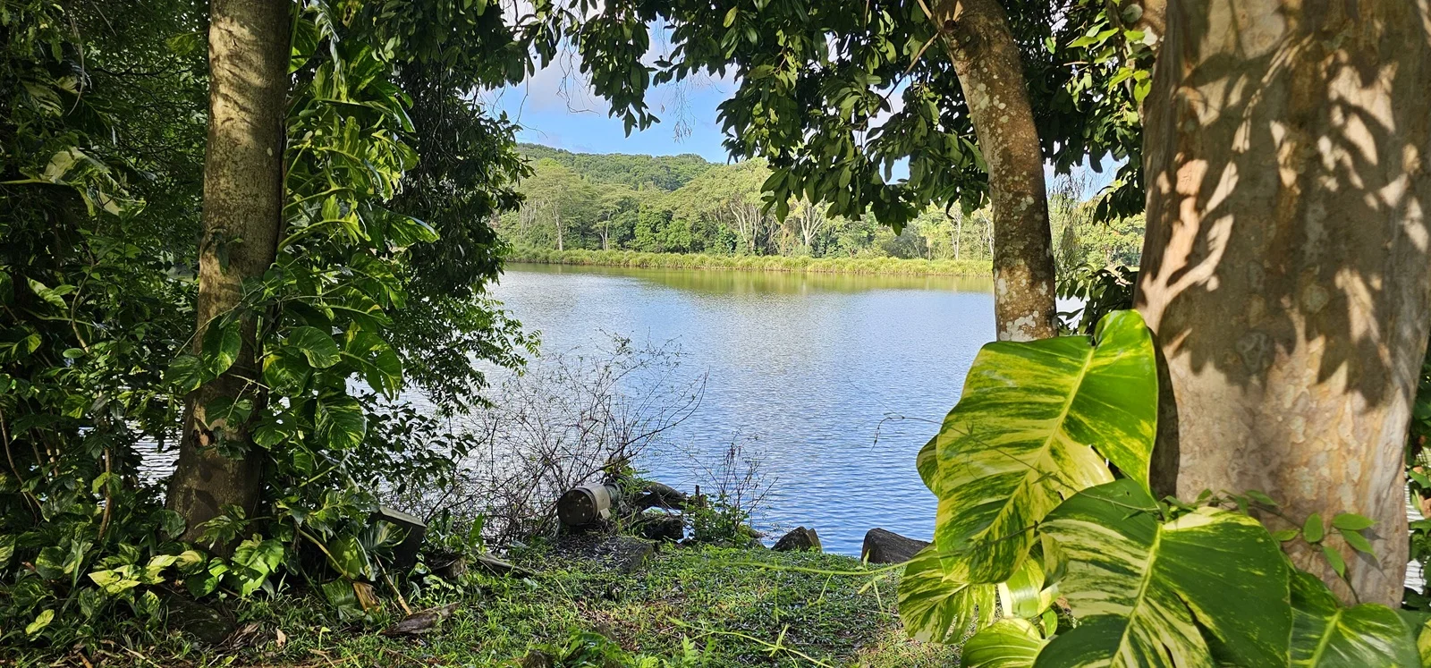 Additional image 17 of 81 Shaws Lane, Alstonville NSW 2477