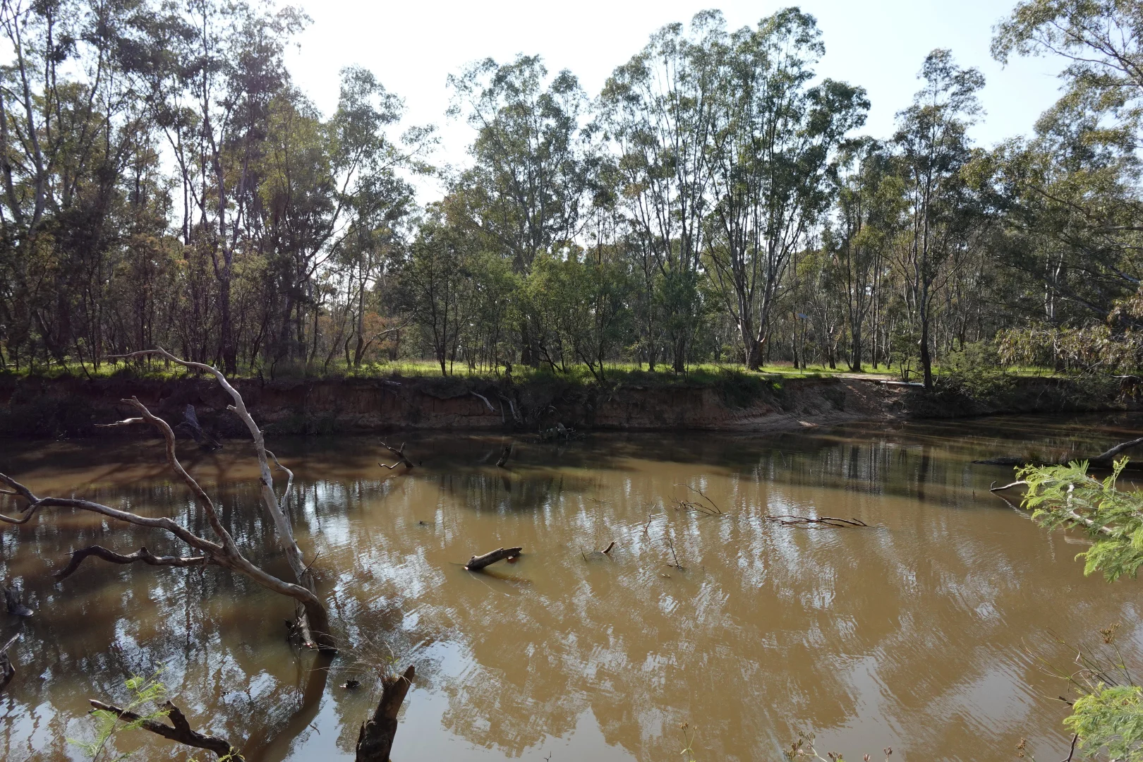 Additional image 4 of 139 Arundel Street, Benalla VIC 3672