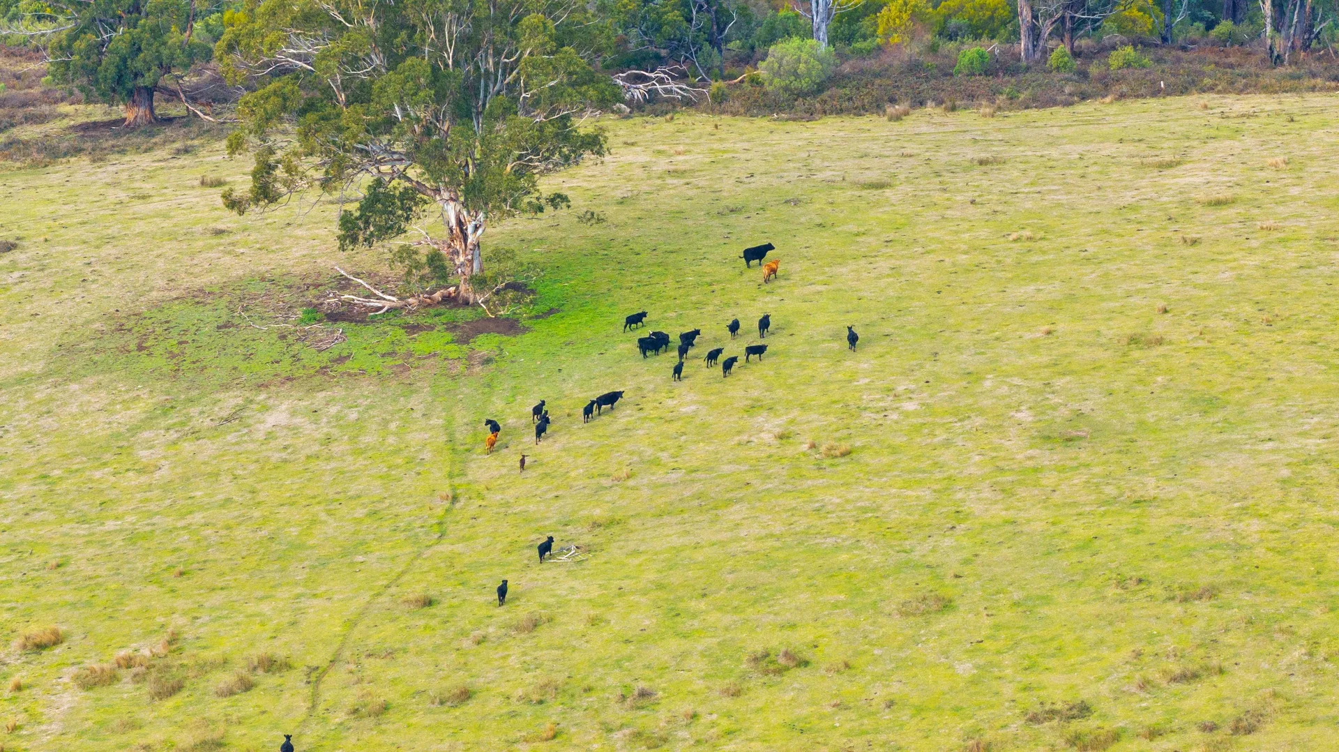 Additional image 3 of 65 Pumps Road, Callignee VIC 3844