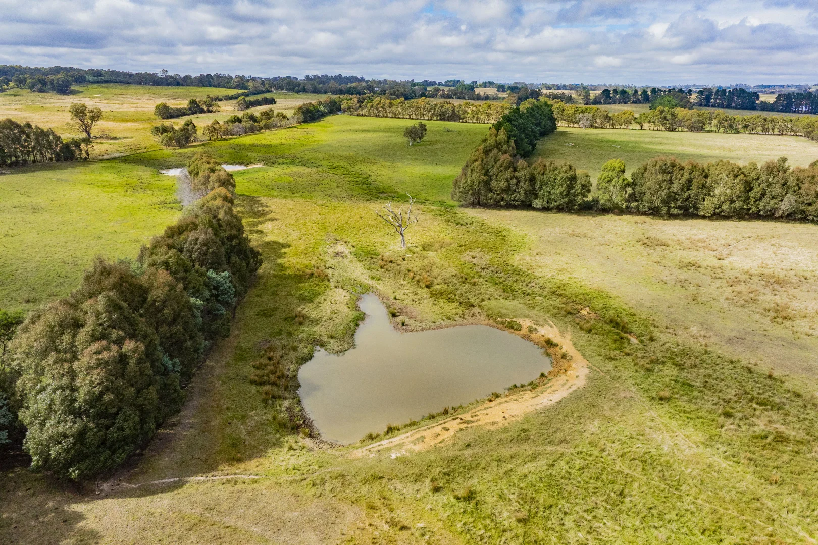 Additional image 26 of 251 Mount Rae Road, Roslyn NSW 2580