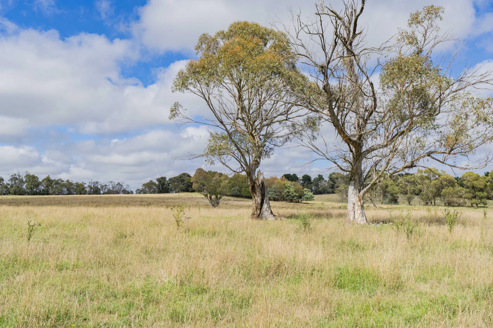 Additional image 15 of 251 Mount Rae Road, Roslyn NSW 2580
