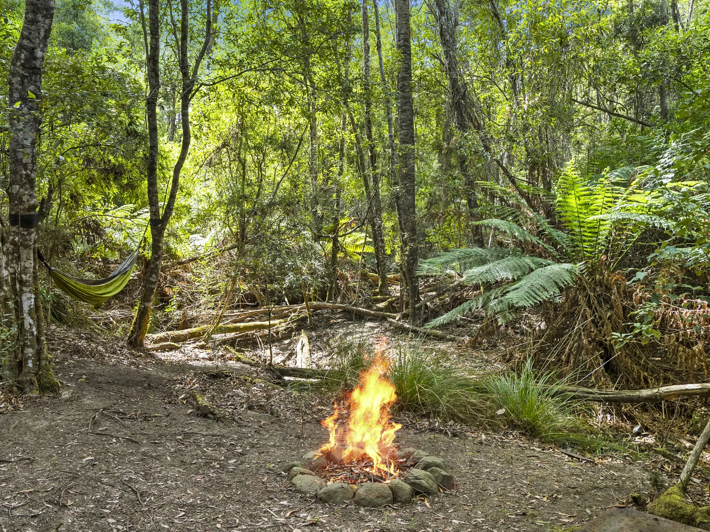 Additional image 36 of 321 Pirates Bay Drive, Eaglehawk Neck TAS 7179