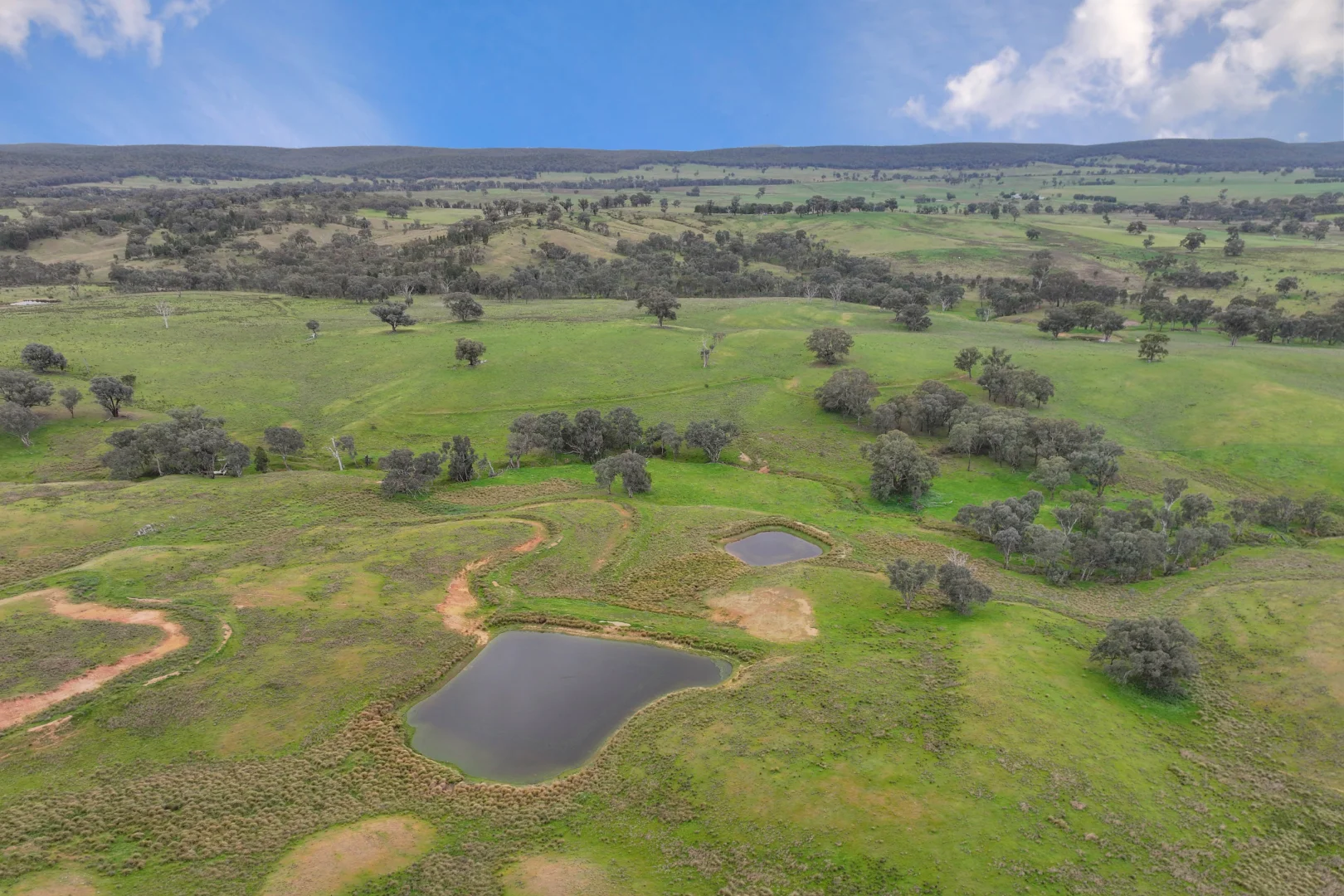 Additional image 4 of "Moura" Waterhole Creek Road, Mandagery NSW 2870