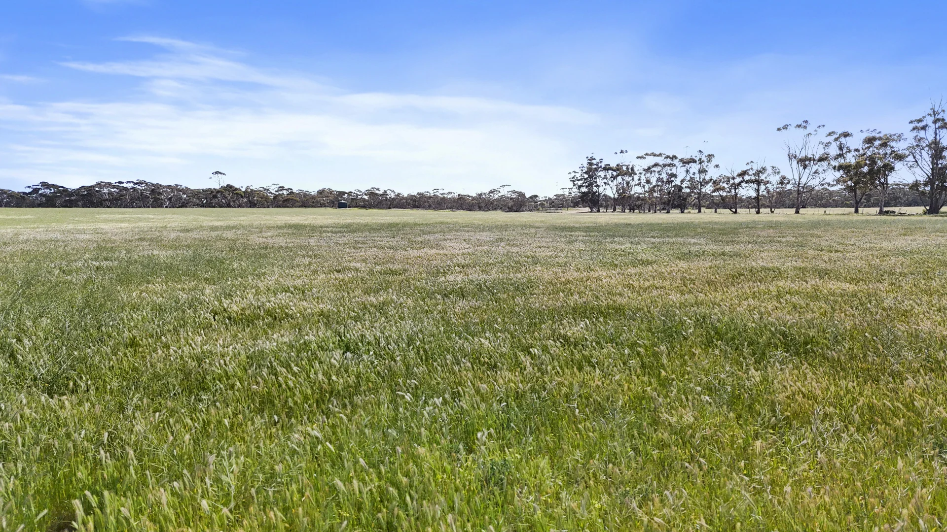 Additional image 13 of 4910 Mallee Highway, Peake SA 5301