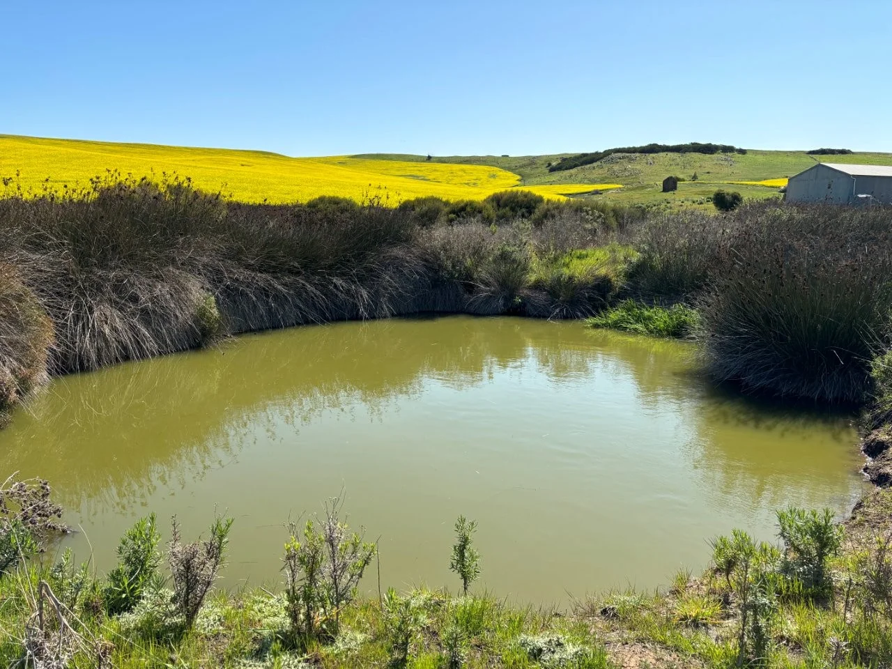 Additional image 8 of Lot 5 McAvaney Lane, Whites Flat SA 5607