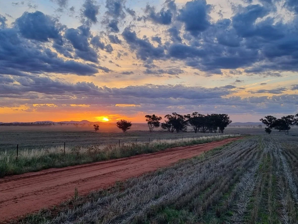 Additional image 22 of 492 Eremeran Road, Condobolin NSW 2877