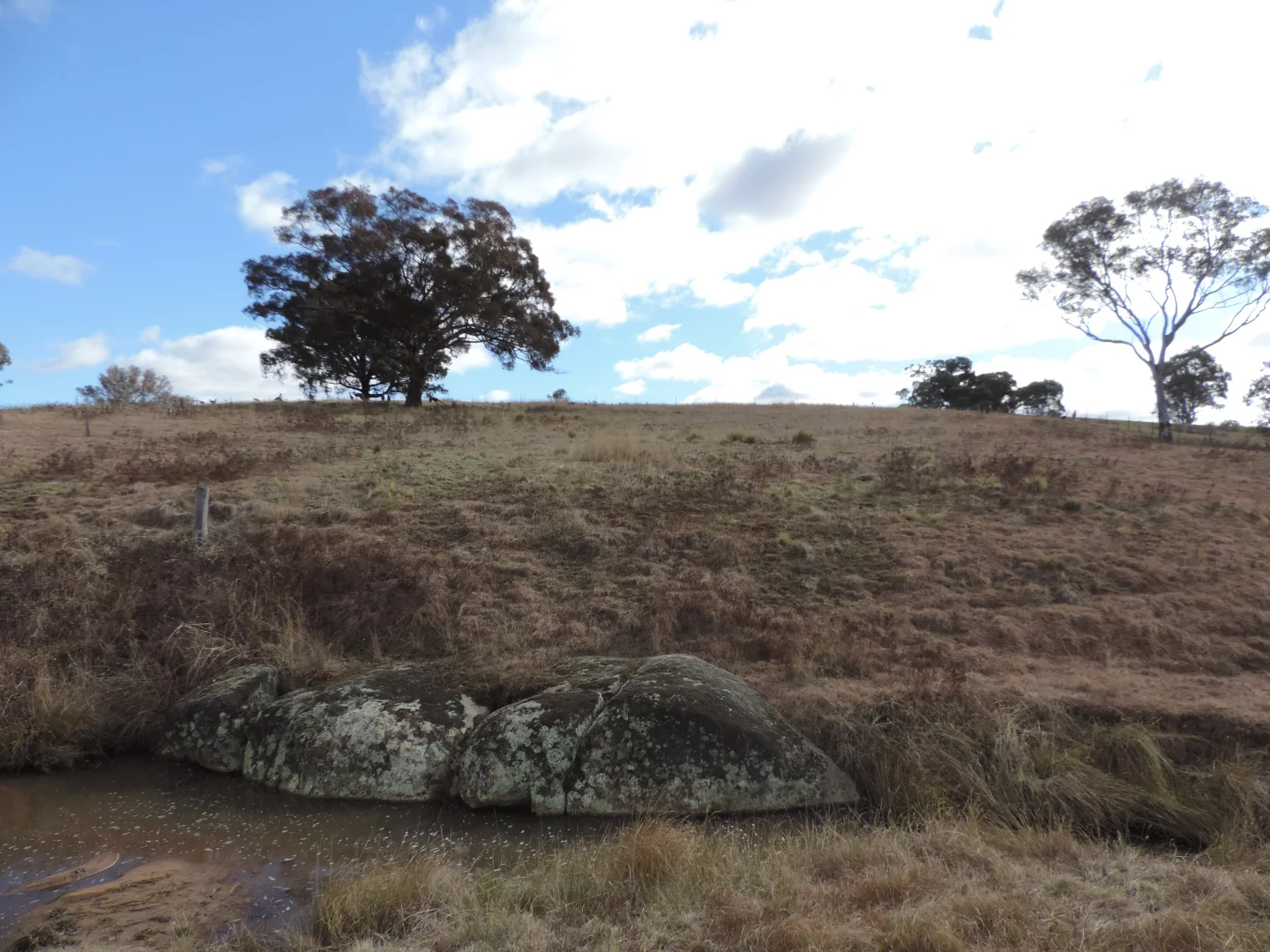 Additional image 9 of 26 Hailstone Street, Bigga NSW 2583