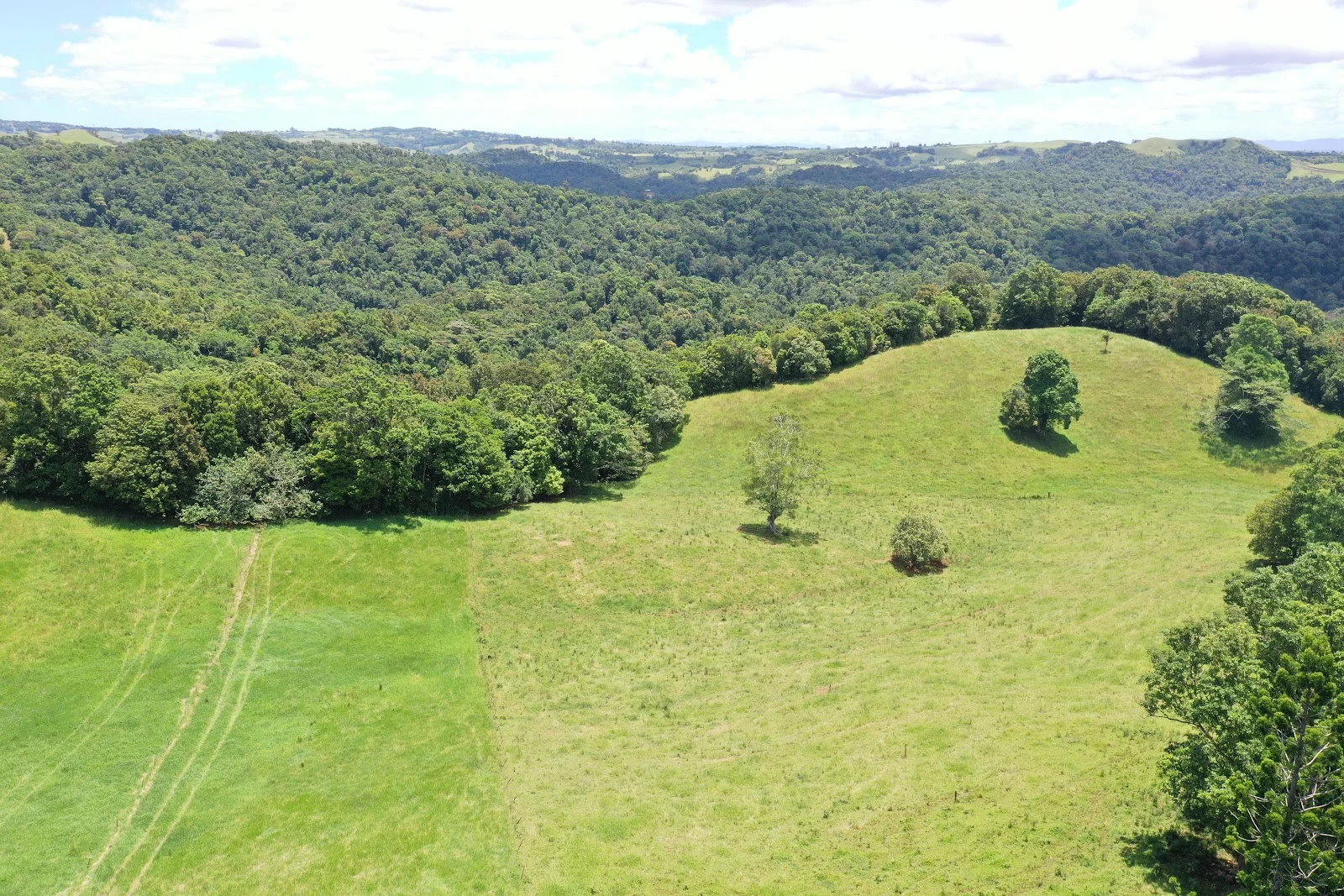 Additional image 7 of 780 MIDDLEBROOK ROAD, Millaa Millaa QLD 4886