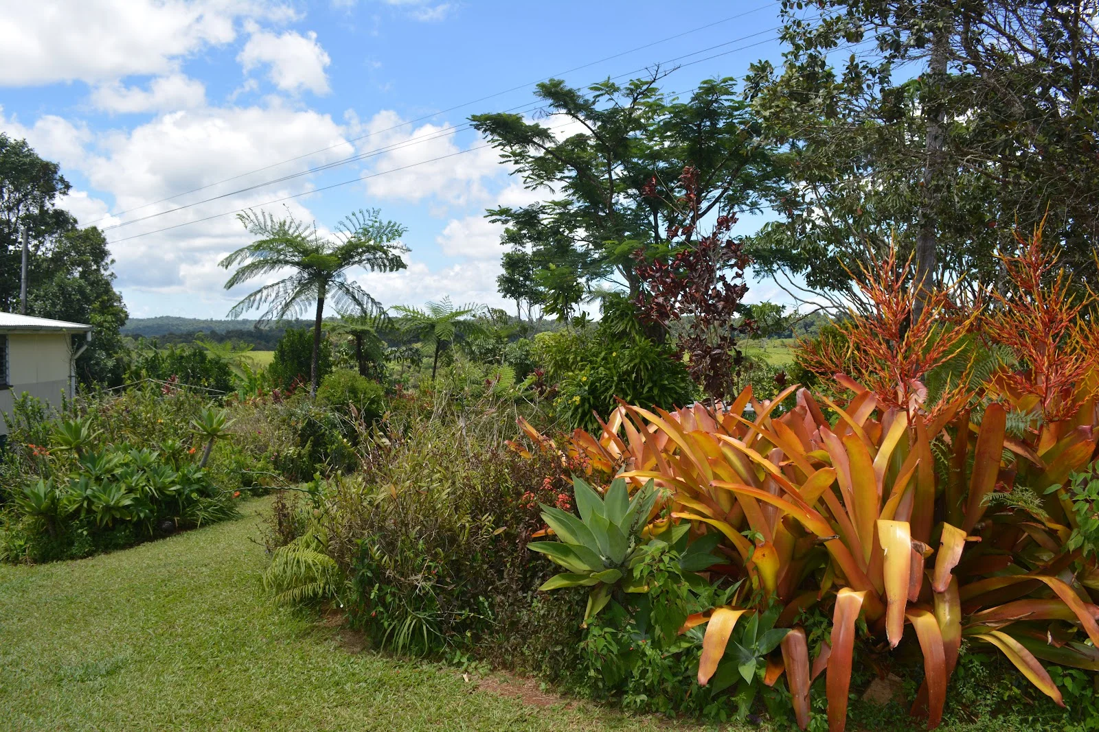 Additional image 41 of 780 MIDDLEBROOK ROAD, Millaa Millaa QLD 4886