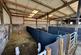 Additional image 41 of Ponthirwaun, Cardigan, SA43