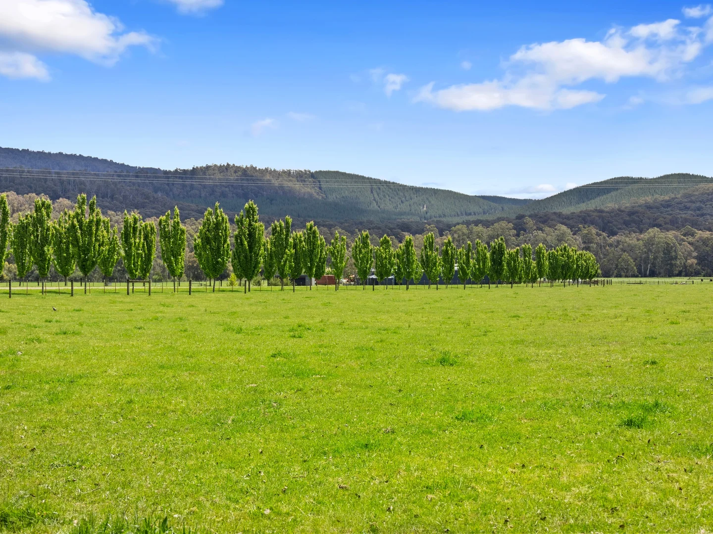 Additional image 9 of 2339 Maroondah Highway, Buxton VIC 3711