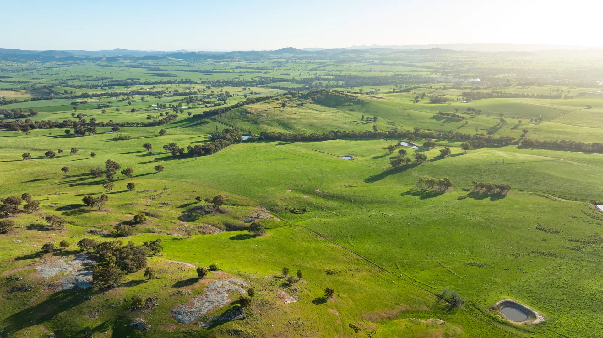 Additional image 14 of Lot 1/279 & Lot 2/281 Jingellic Road, Holbrook NSW 2644