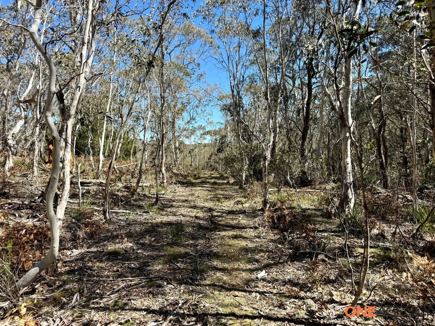 Additional image 15 of Lots 113 & 114 Kydra Firetrail Greenlands Road, Greenlands NSW 2631