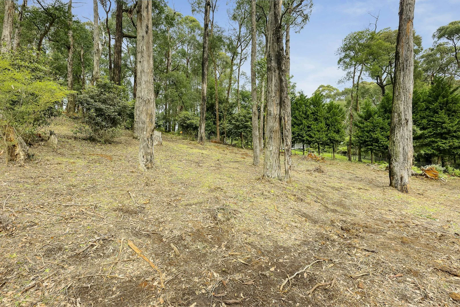 Additional image 7 of 52A View Hill Road, Cockatoo VIC 3781