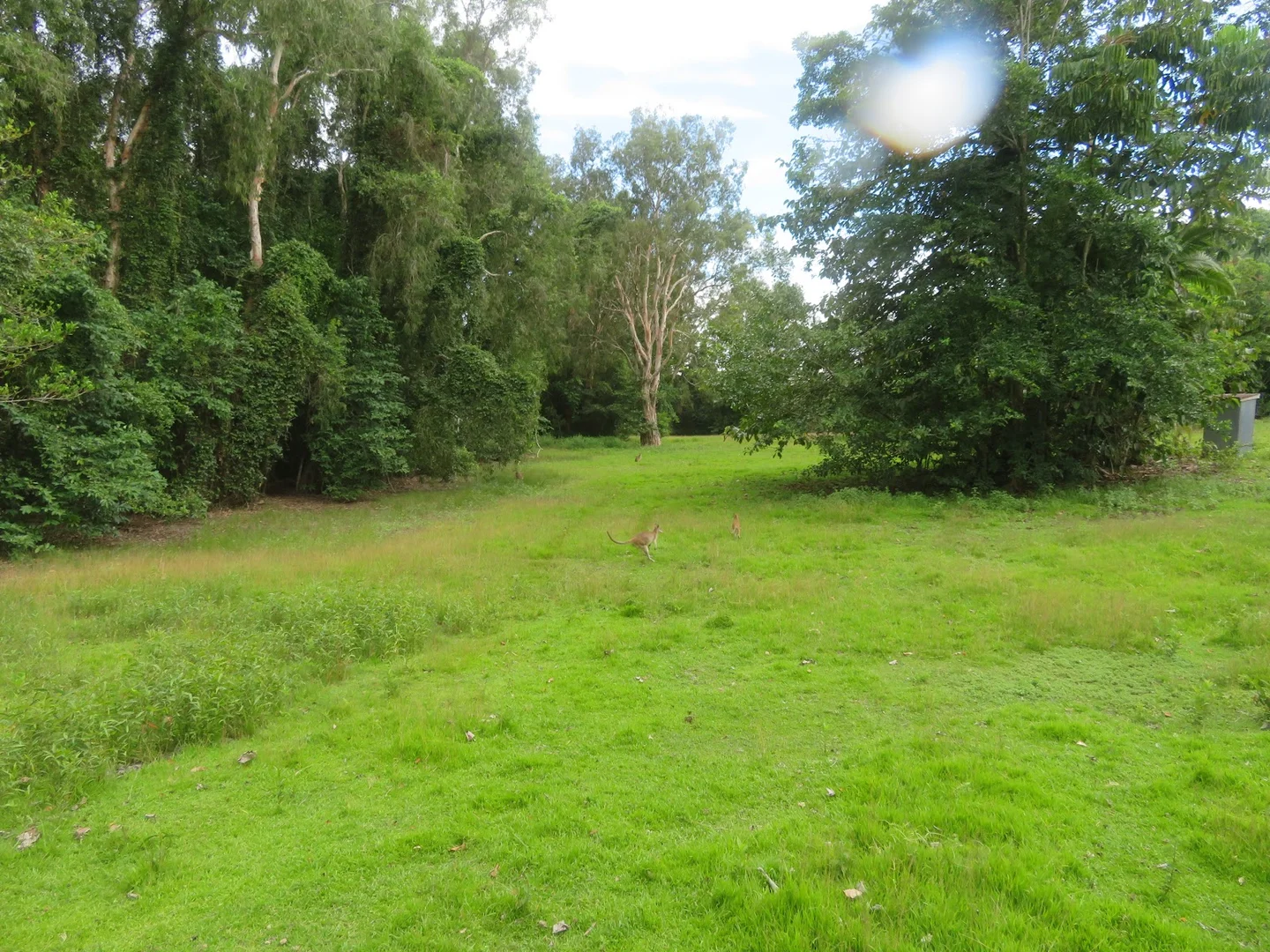 Additional image 26 of 364 Coquette Point Road, Coquette Point QLD 4860