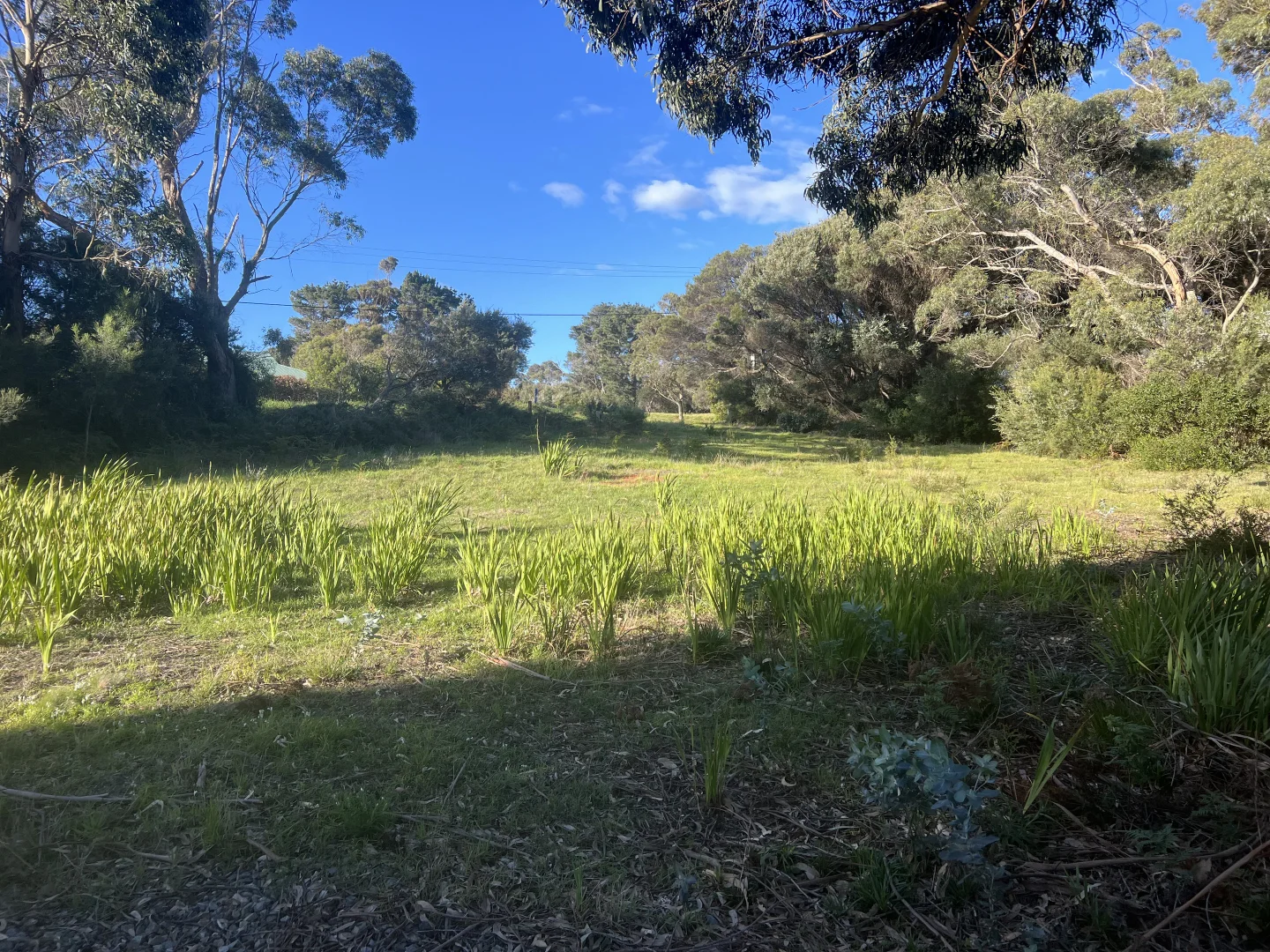 Additional image 16 of 4 Barr Street, Lady Barron TAS 7255