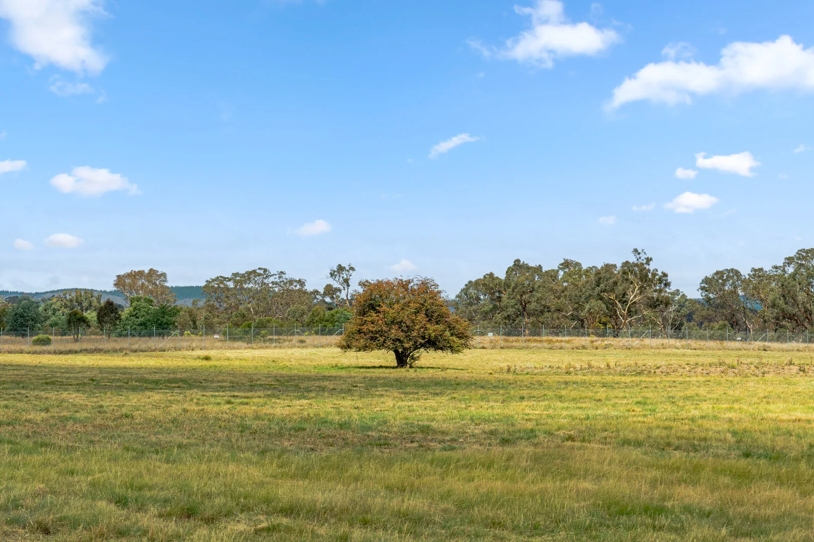 Additional image 82 of 14 Avonley Road, Majura ACT 2609