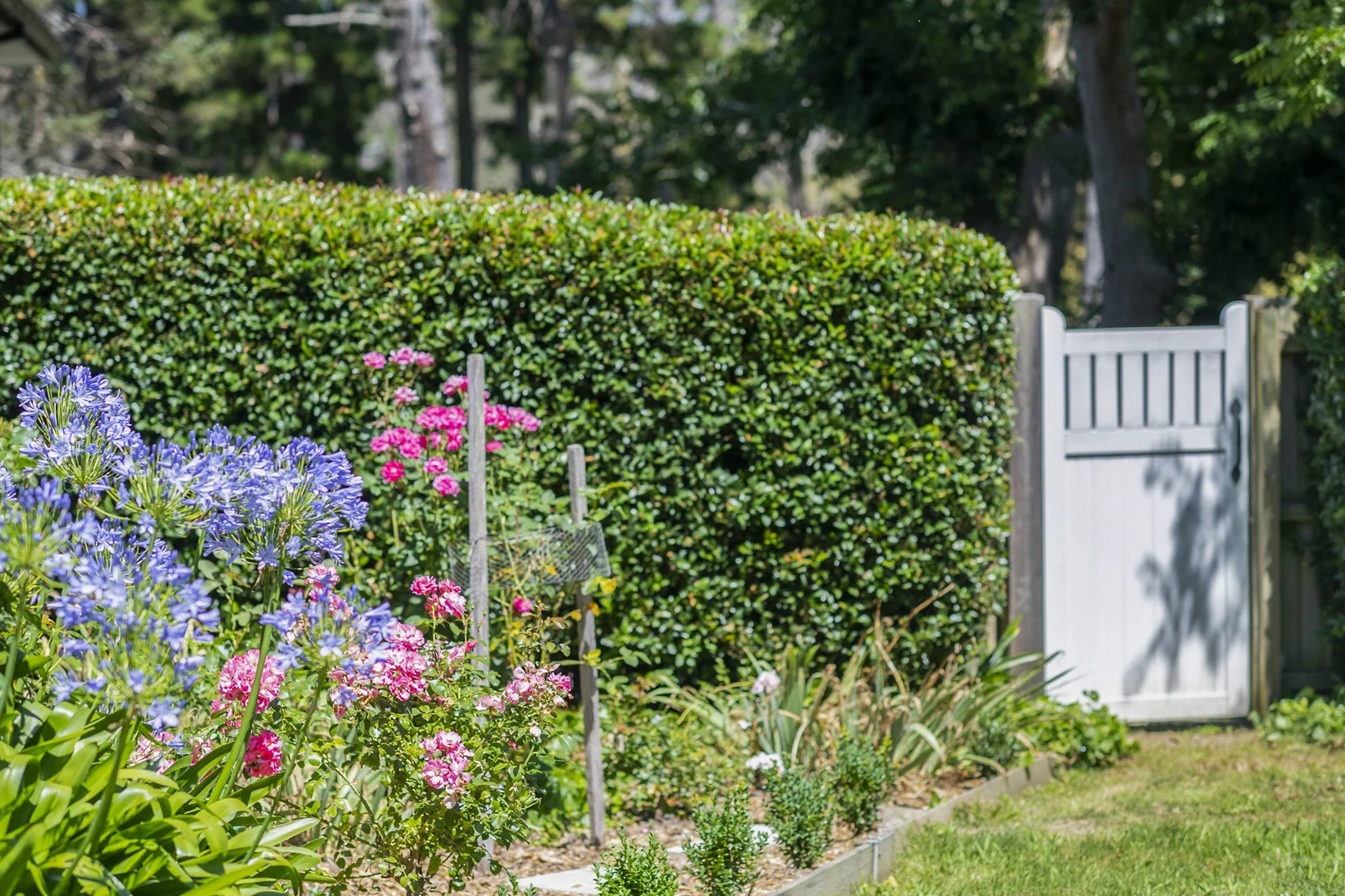 Additional image 22 of 42 Conflict Street, Sutton Forest NSW 2577