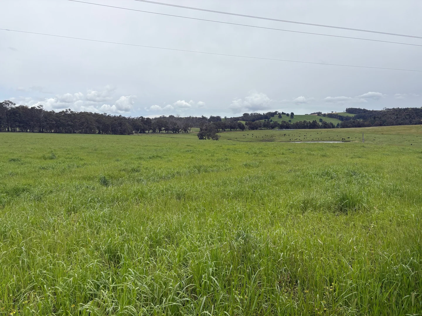 Additional image 12 of Lot 72 Beelerup Road, Beelerup WA 6239