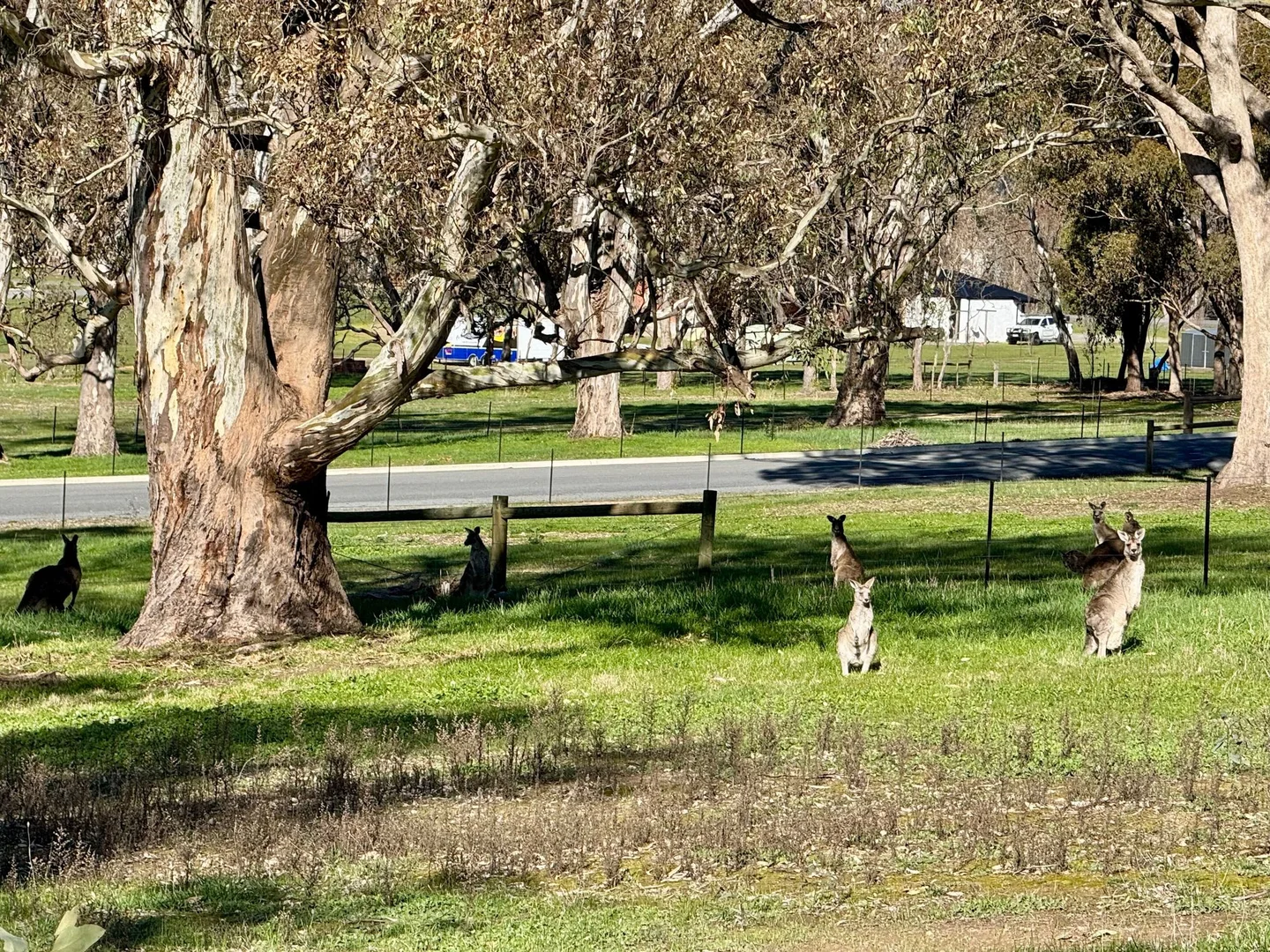 Additional image 9 of 25 Bainbridge Way, Alexandra VIC 3714