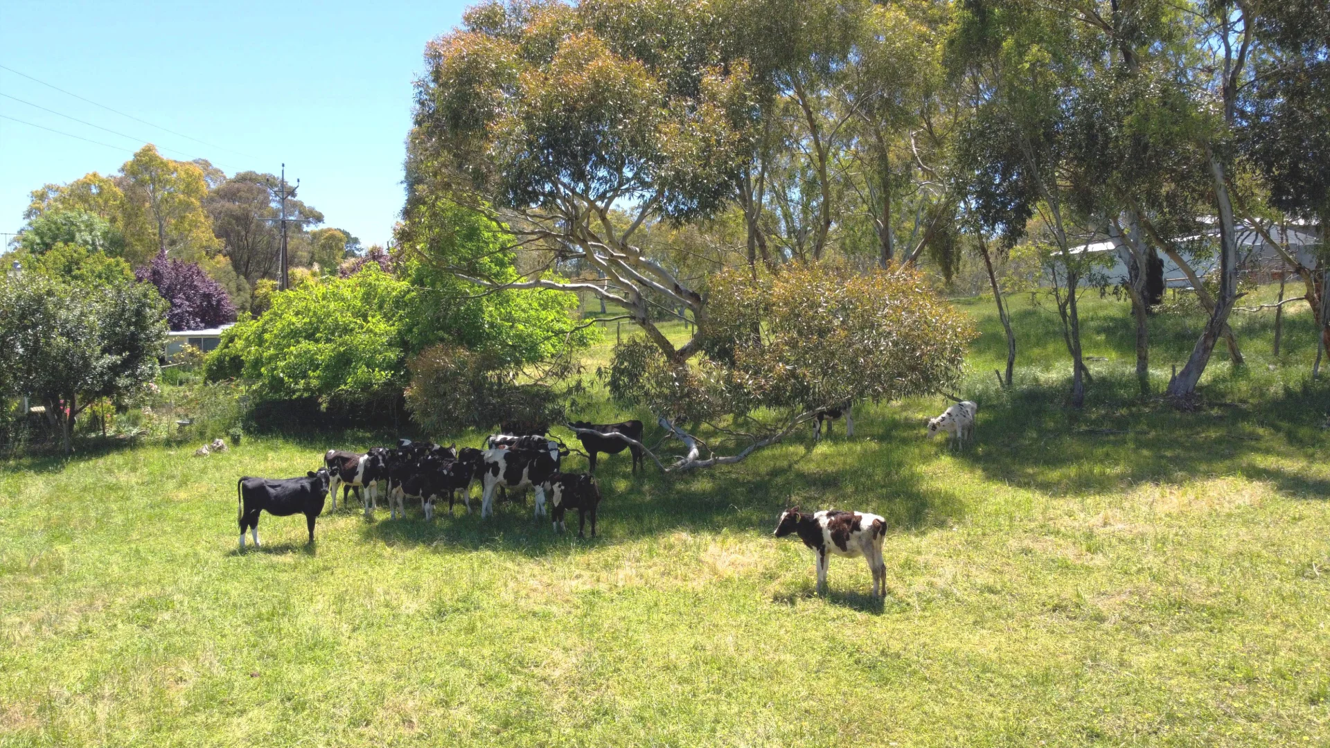 Additional image 31 of 68 Lucky Hit Road, Birdwood SA 5234