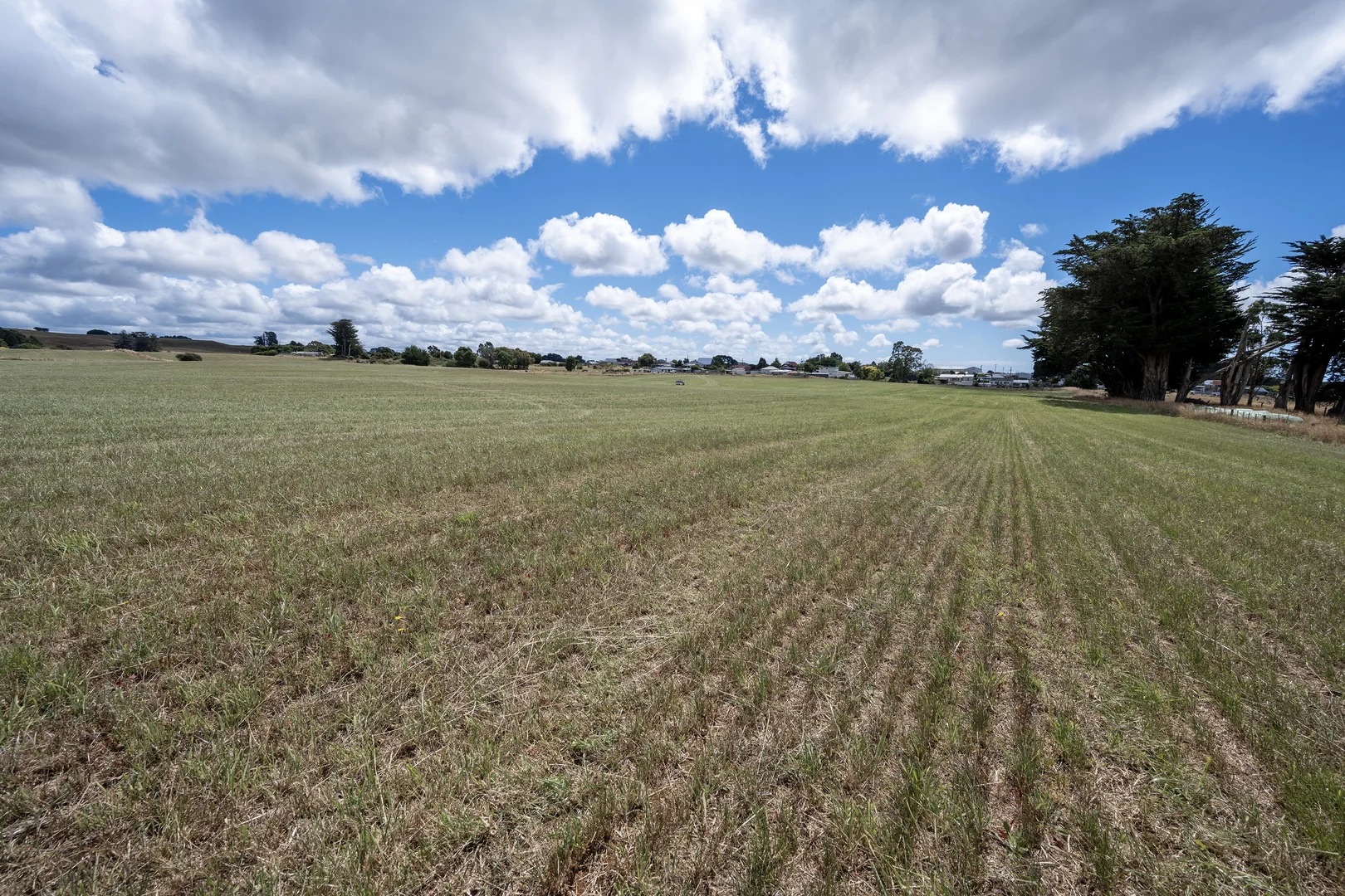 Additional image 4 of Yolla TAS 7325