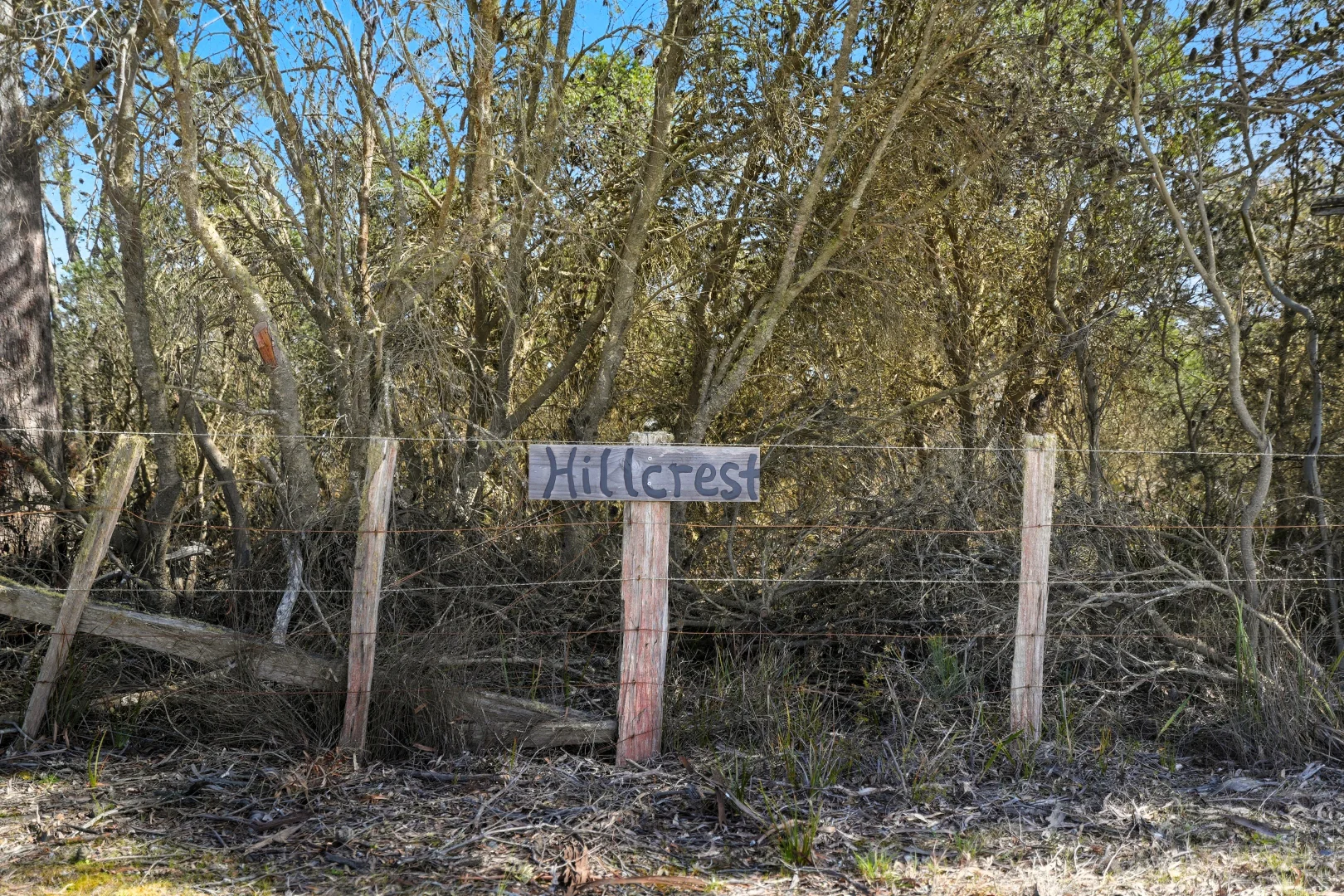 Additional image 26 of 886 North Ansons Road, Gladstone TAS 7264