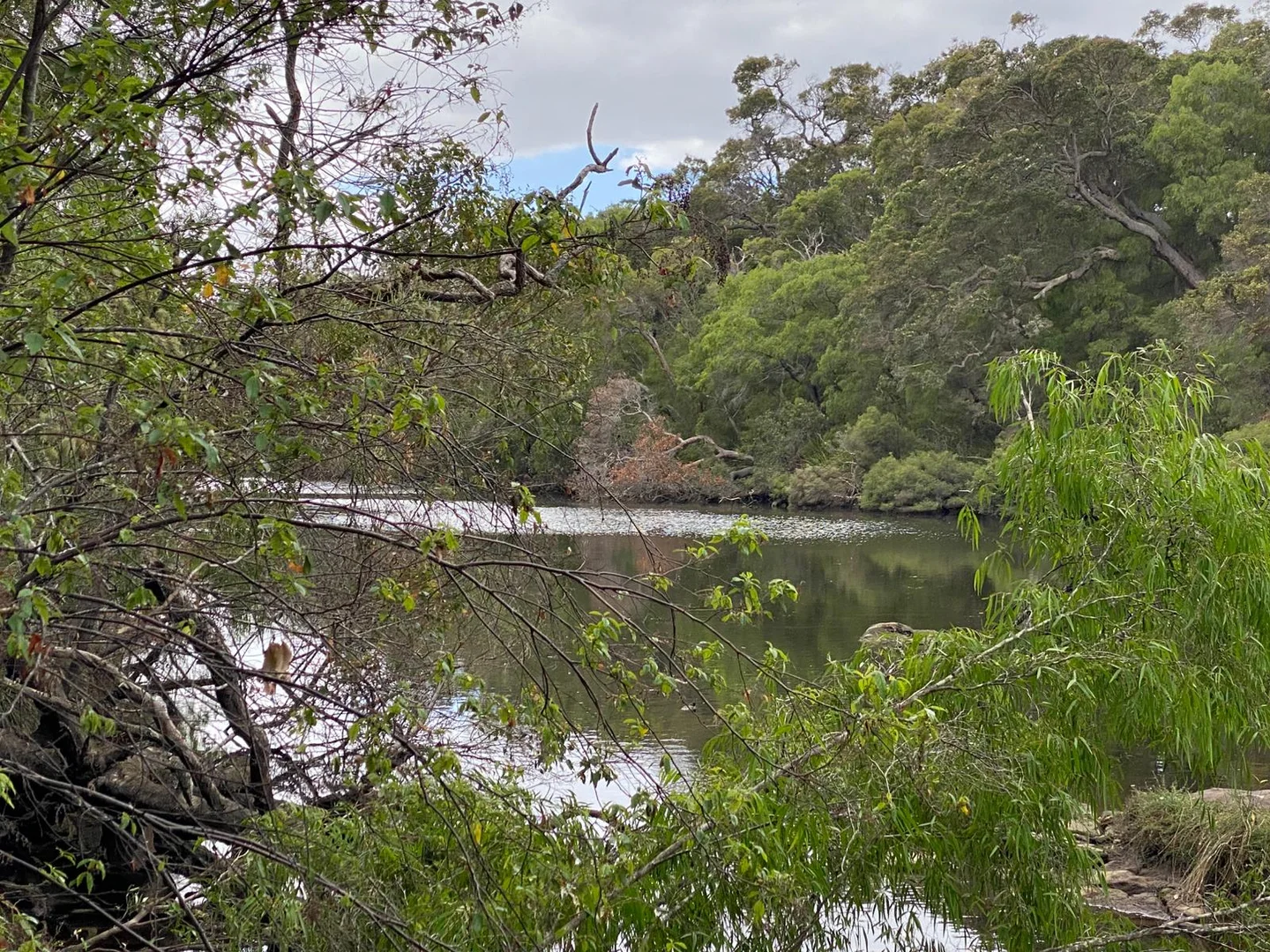 Additional image 4 of 45647 South Coast Highway, Kalgan WA 6330