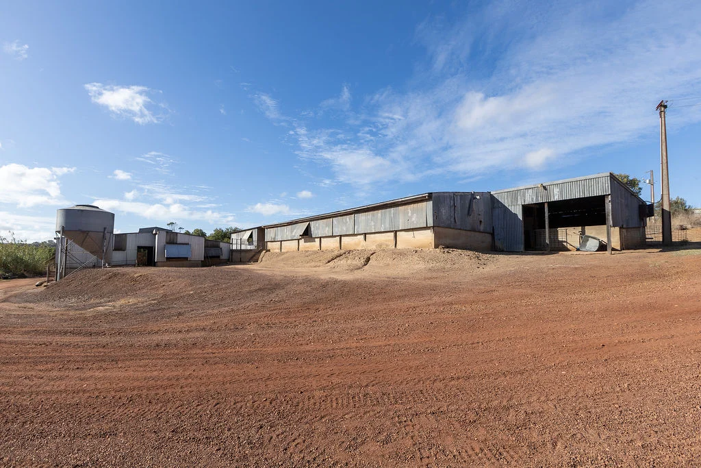 Additional image 28 of 52 Howards Road, Koppio SA 5607