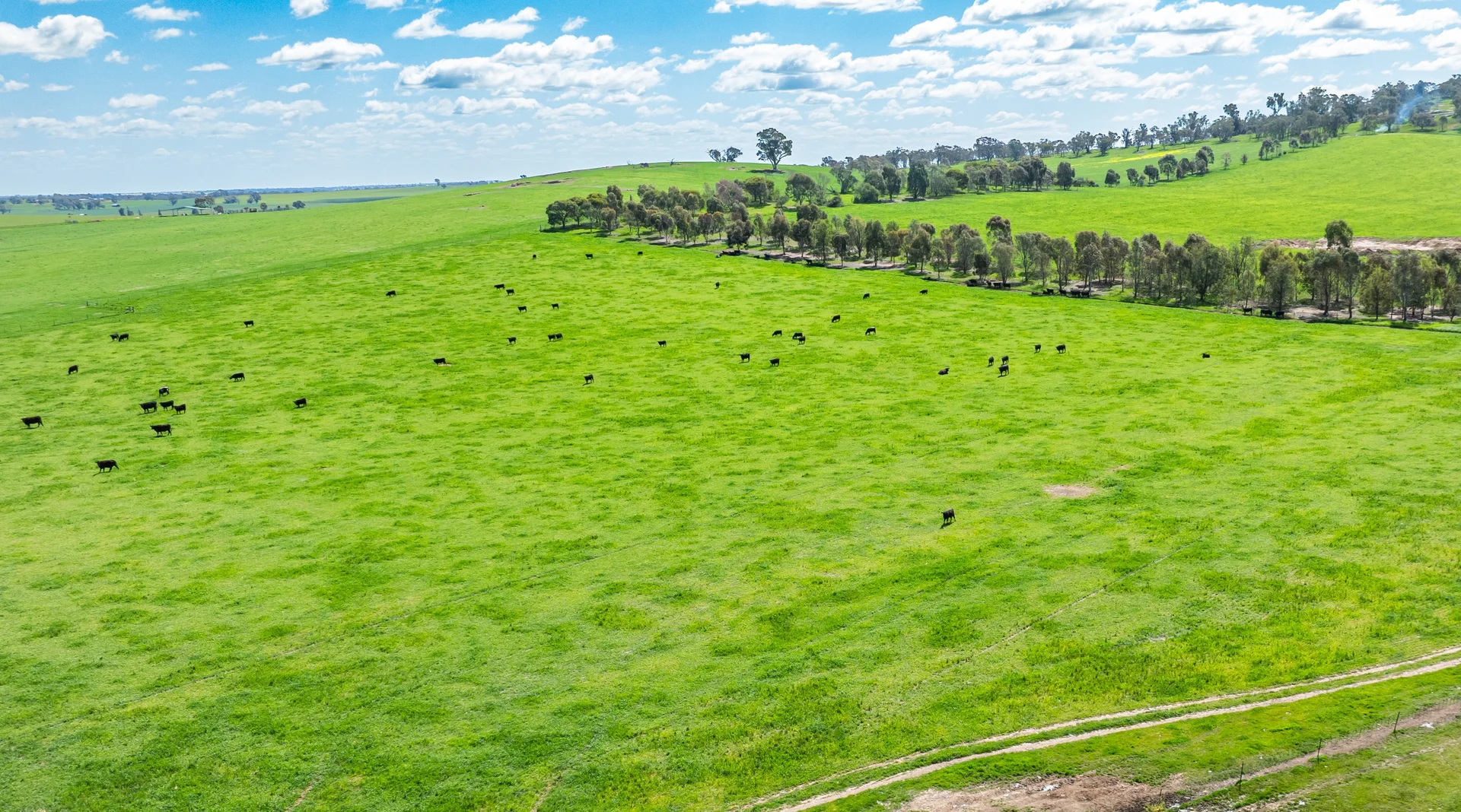 Additional image 10 of 413 Reynella Road, Walbundrie NSW 2642