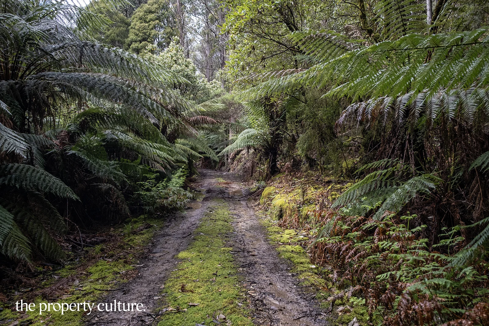 Additional image 2 of 1, 2 & 3 Bakers Creek Rd, Lucaston TAS 7109