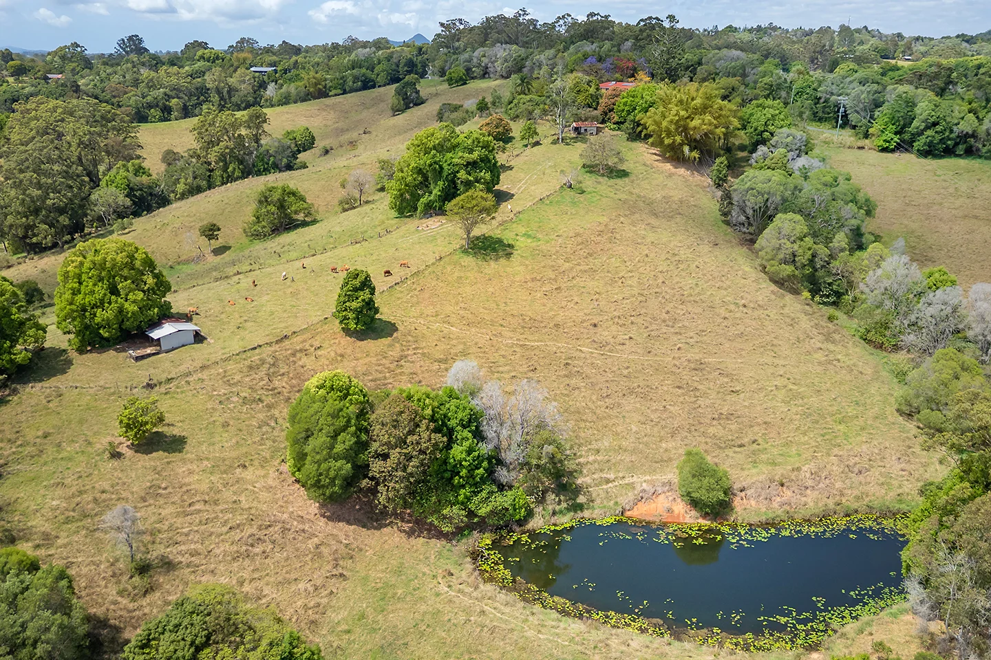 Additional image 2 of 220 Black Mountain Range Road, Black Mountain QLD 4563