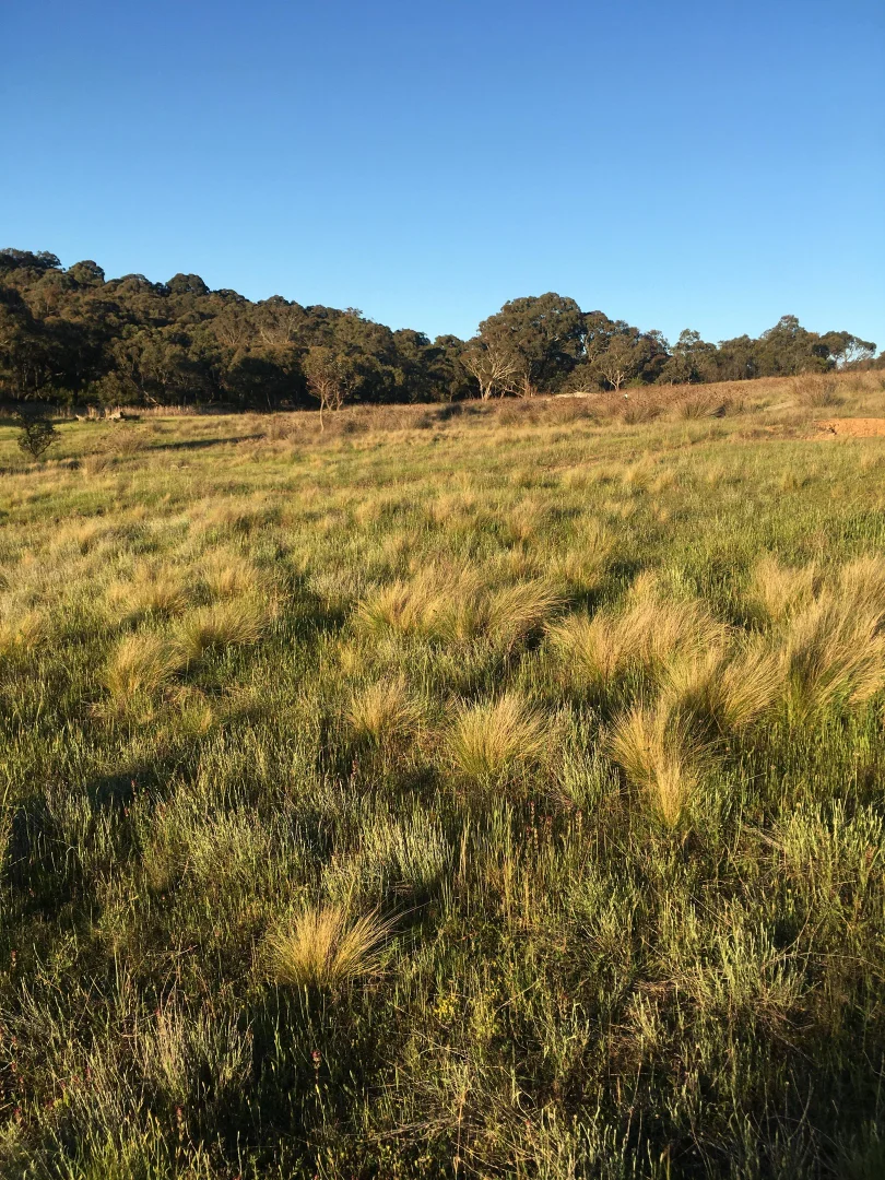 Additional image 14 of 560 Collector Road, Gunning NSW 2581