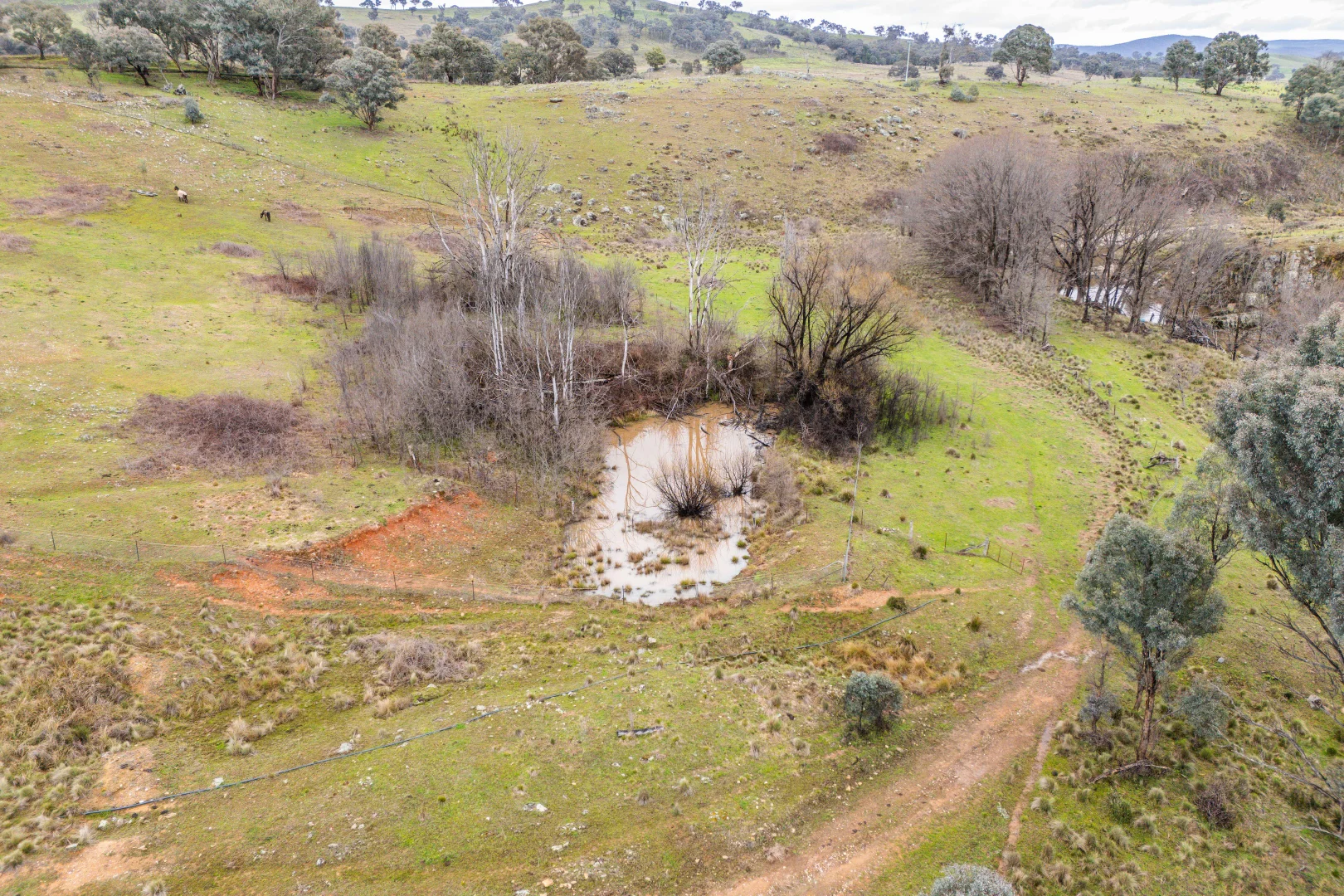 Additional image 6 of 1564 Lower Lewis Pond Road, Orange NSW 2800