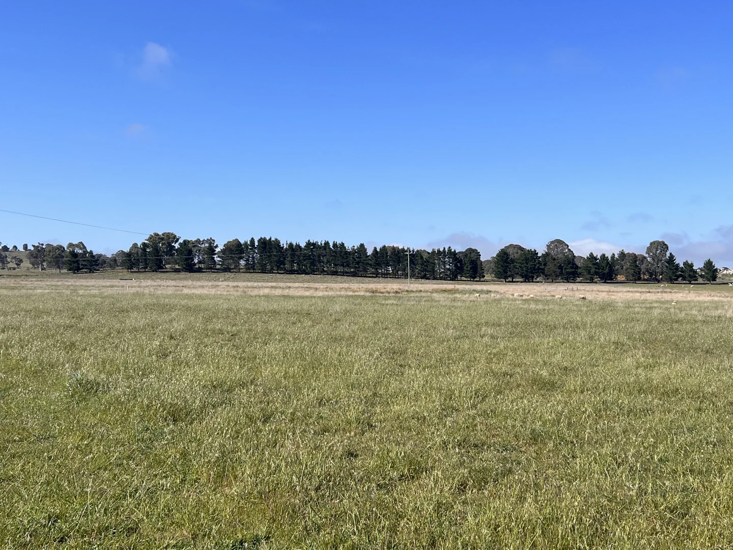 Additional image 7 of 48 Mcleods Creek Drive, Gundaroo NSW 2620