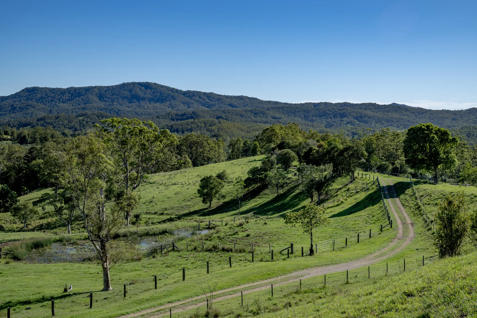 Additional image 21 of 148 Pine Log Road, Doon Doon NSW 2484