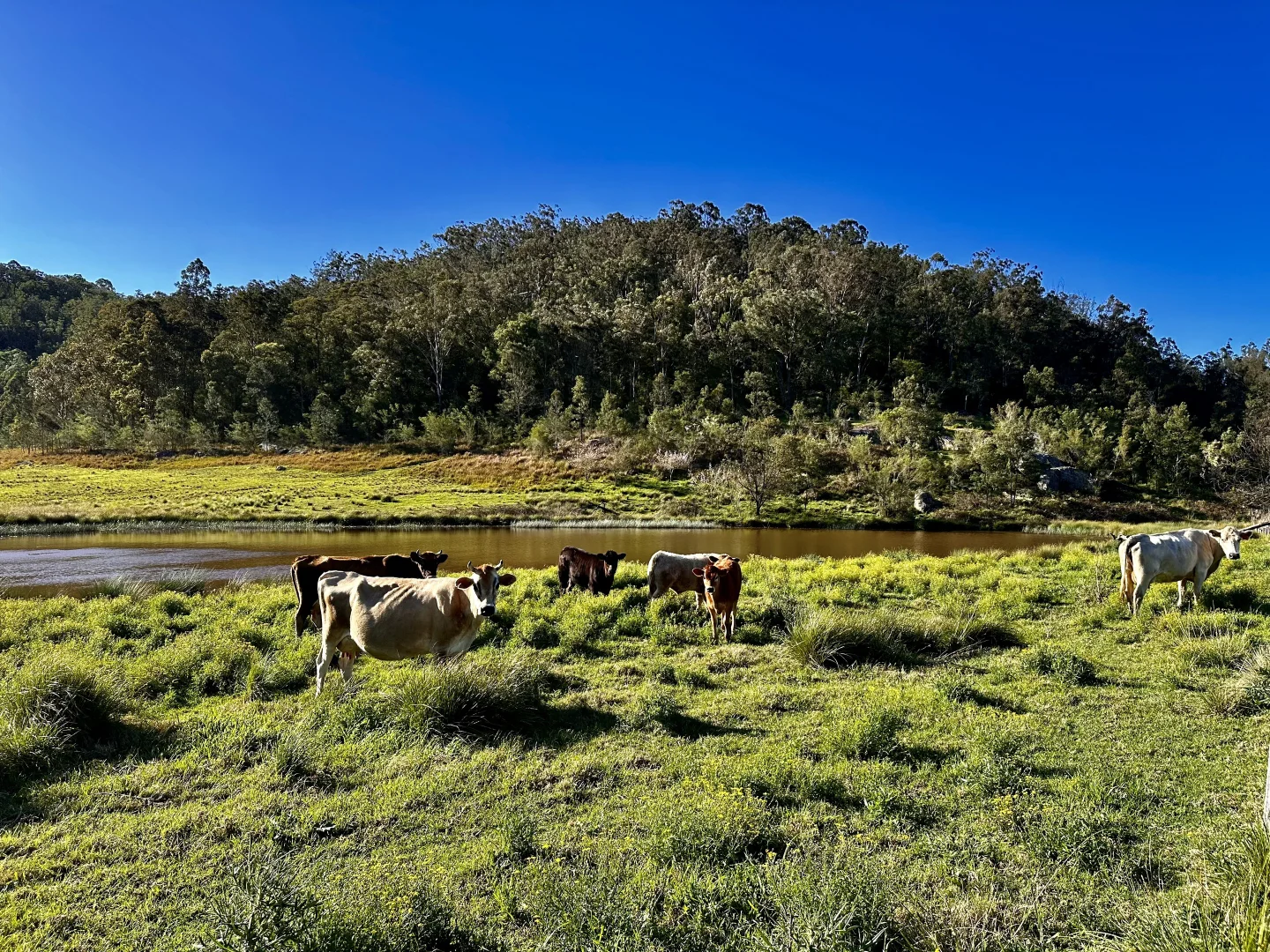 Additional image 16 of 3300 Great North Road, Wollombi NSW 2325